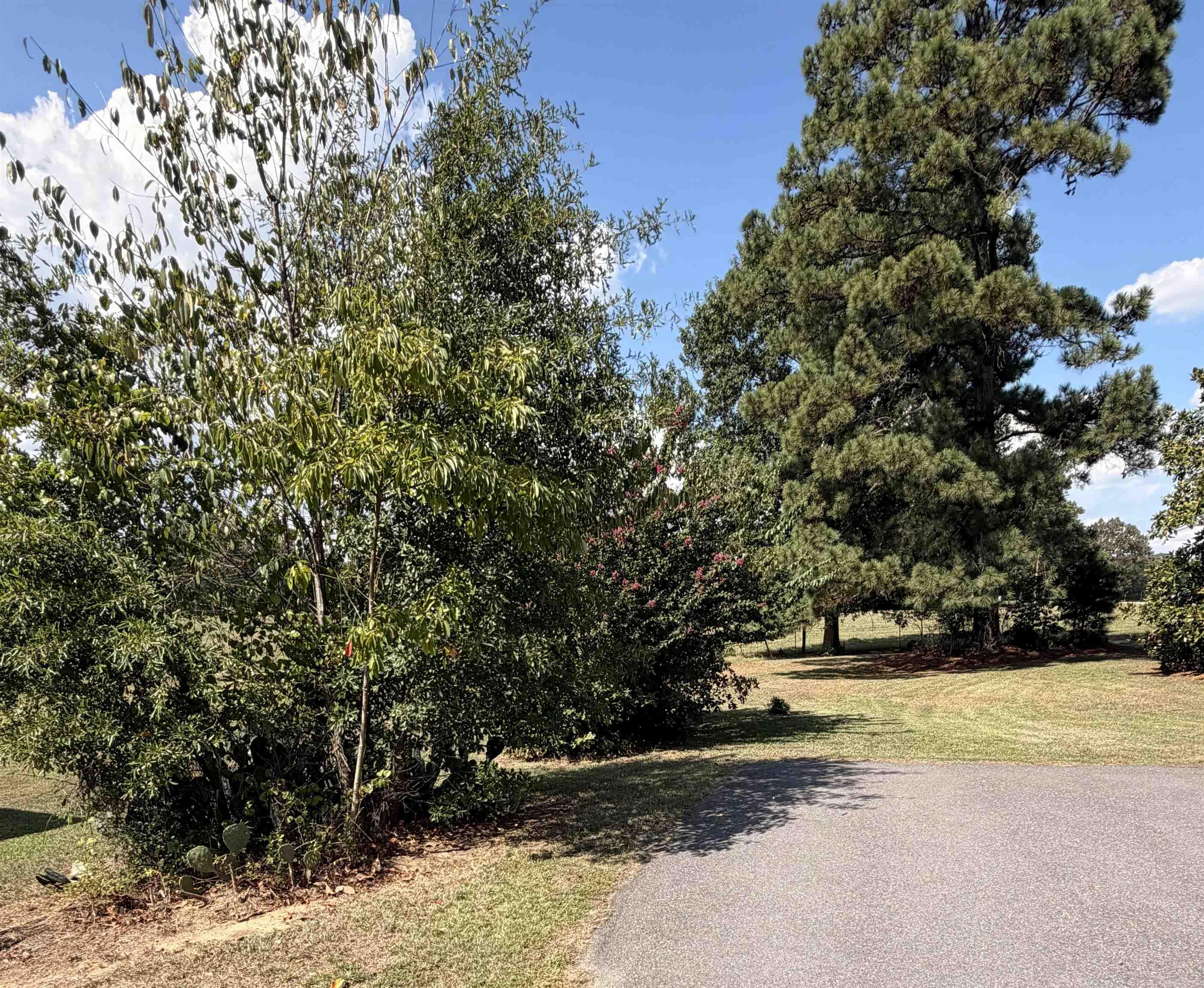 796 Rock Springs Rd.  Wilmar, AR