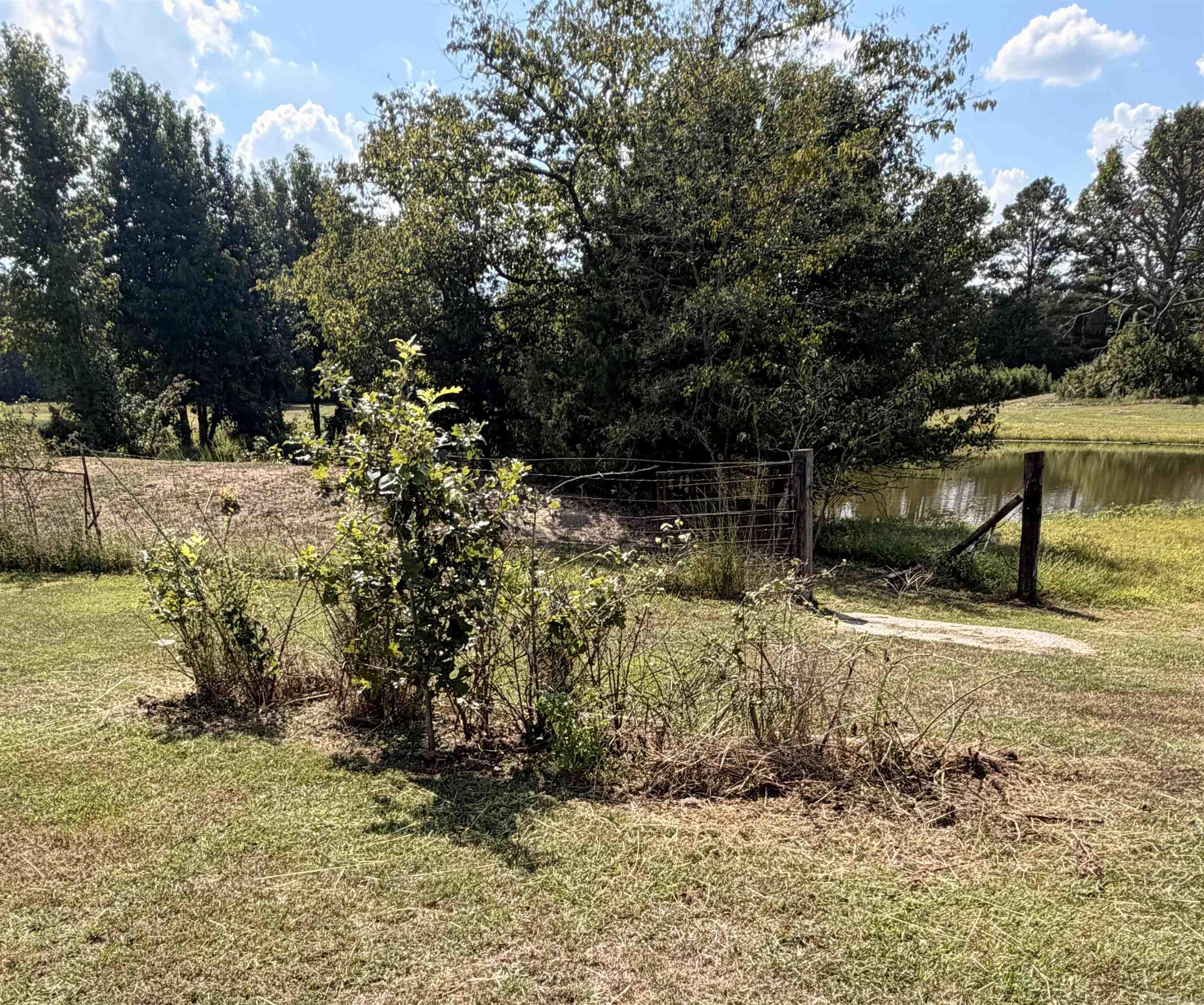 796 Rock Springs Rd.  Wilmar, AR
