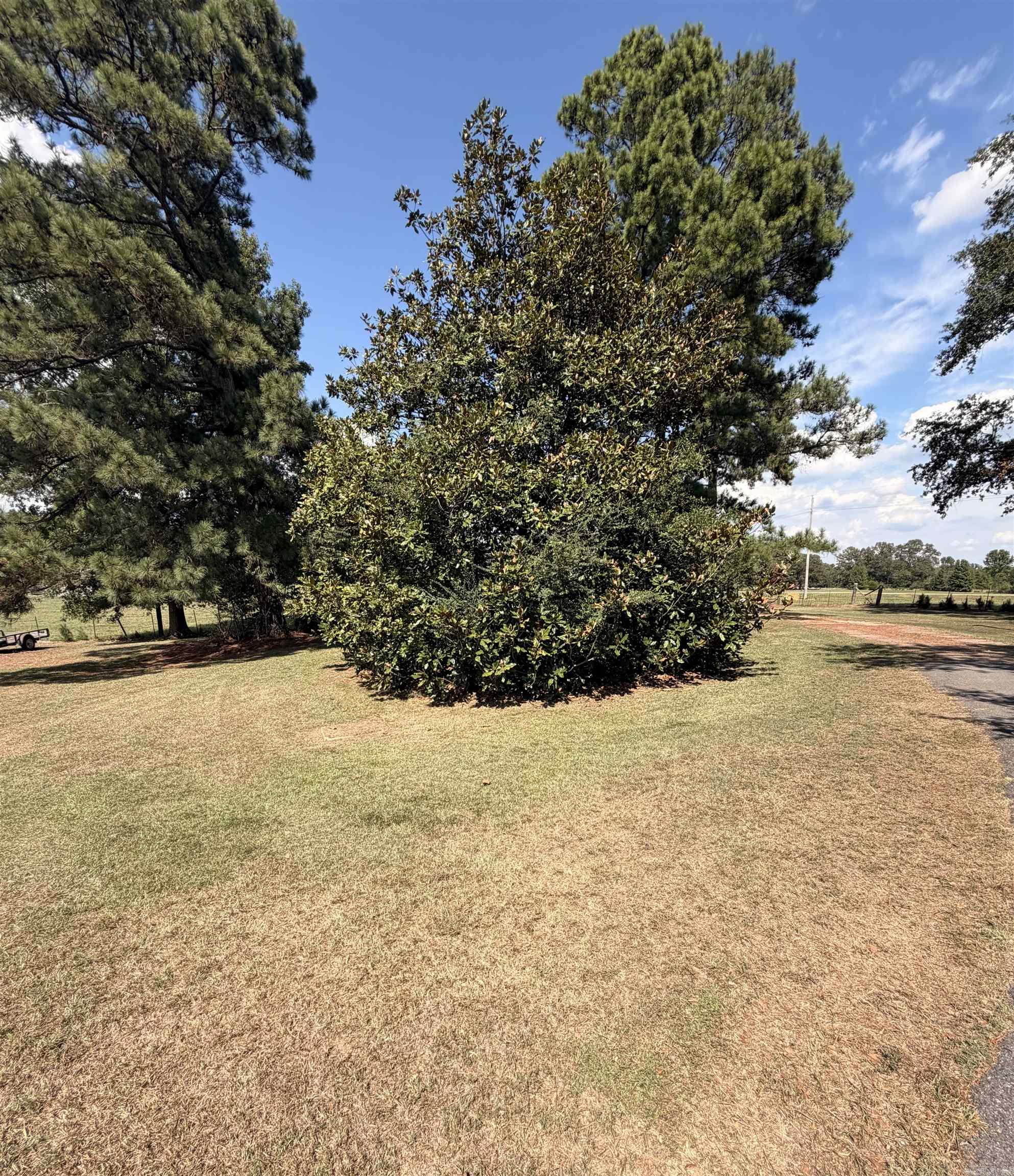 796 Rock Springs Rd.  Wilmar, AR