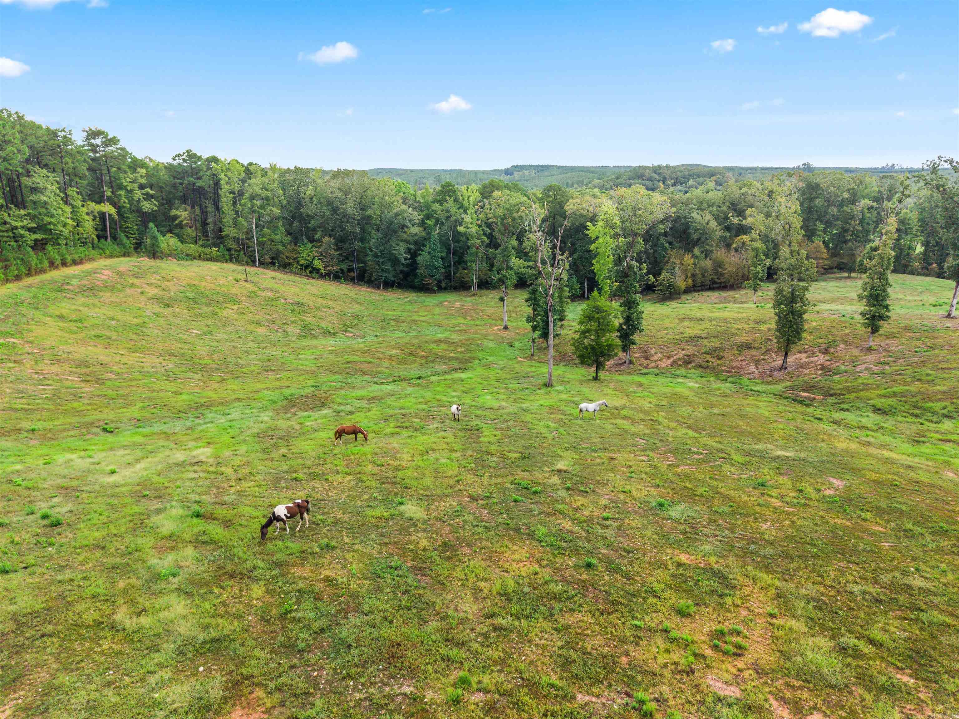 6080 Ziegler Road Lonsdale, AR 72087