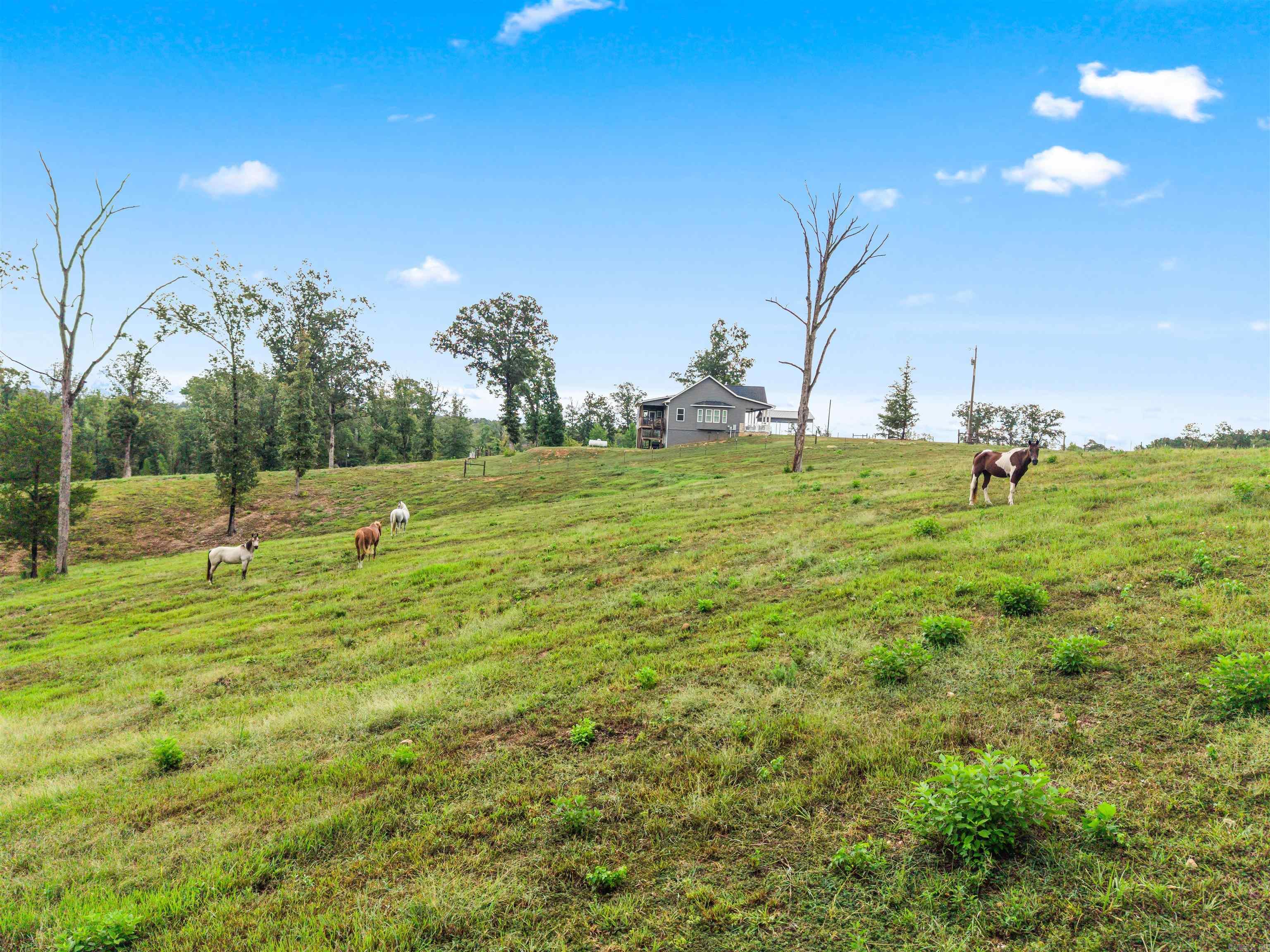 6080 Ziegler Road Lonsdale, AR 72087