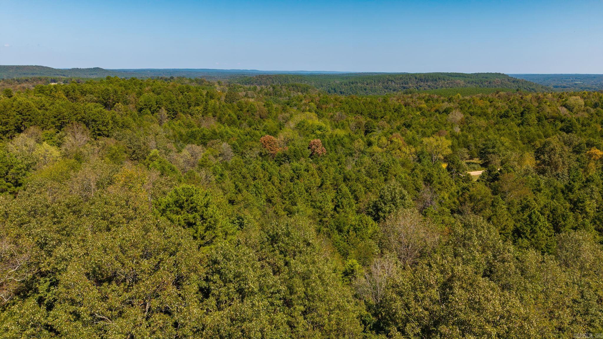 250 Bluegrass Rd  Springfield, AR