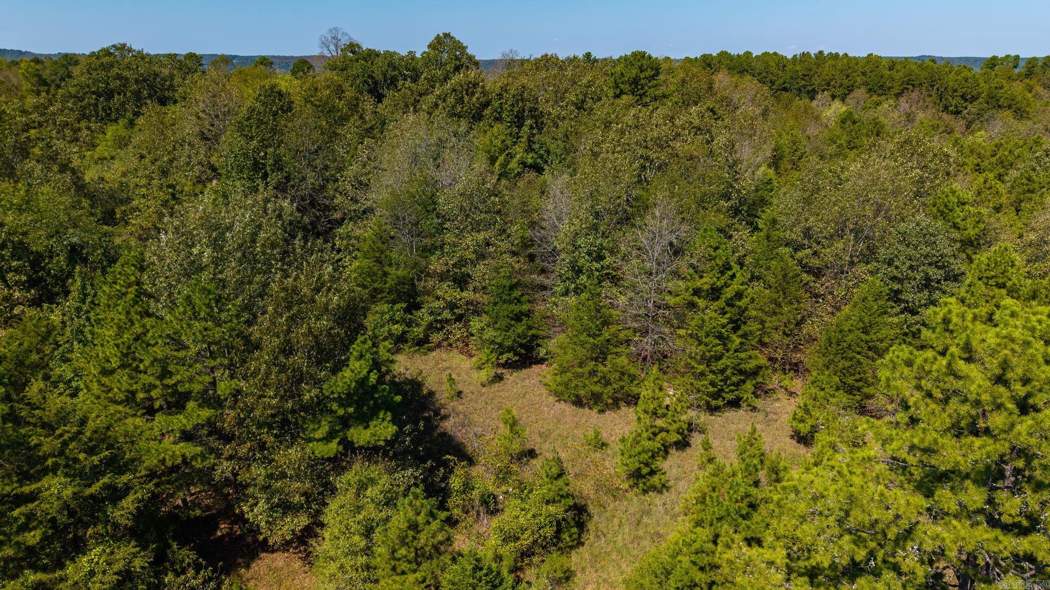 250 Bluegrass Rd  Springfield, AR