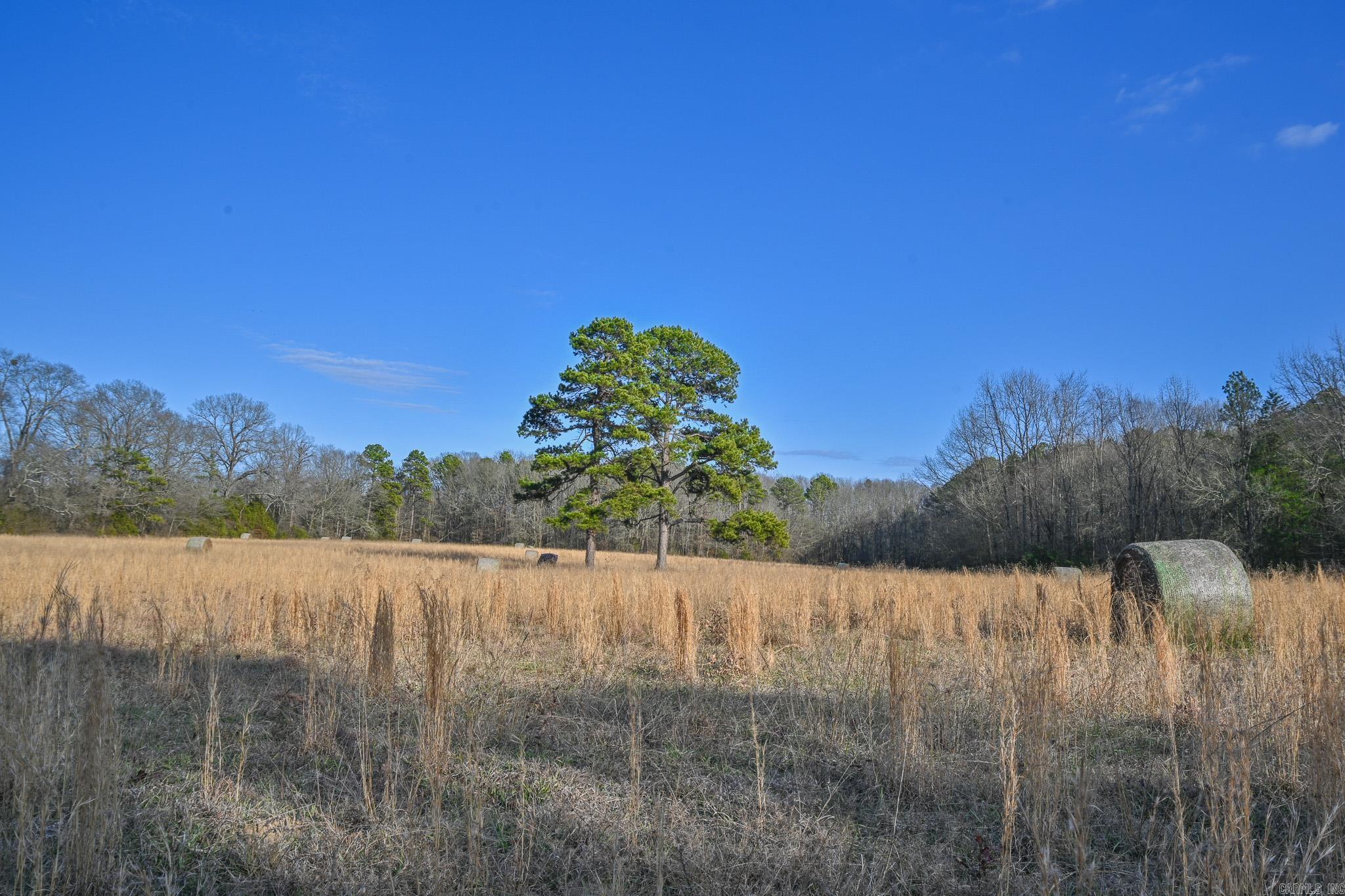 182 Polk Road 672 Mena, AR 71953