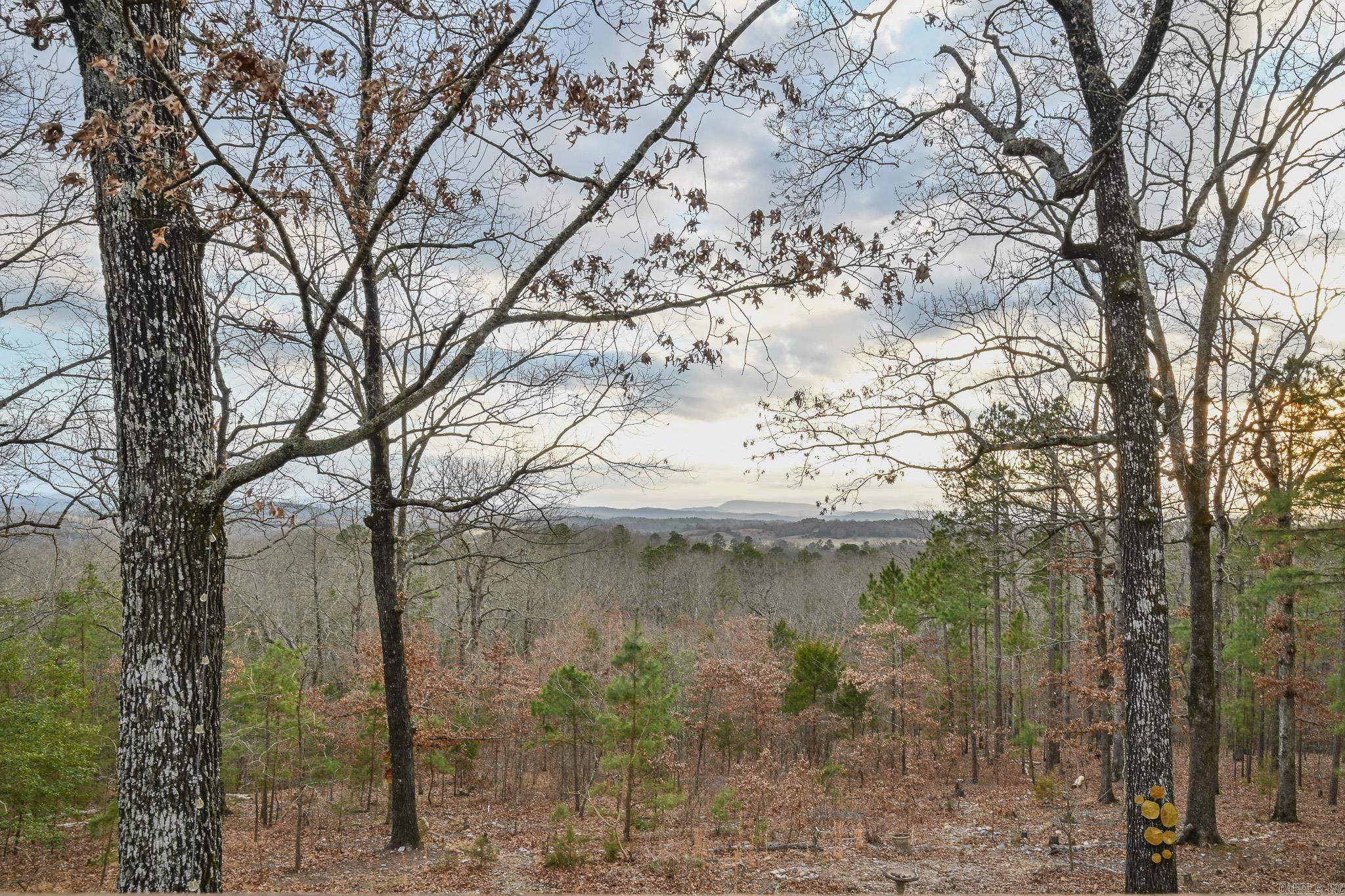 182 Polk Road 672 Mena, AR 71953