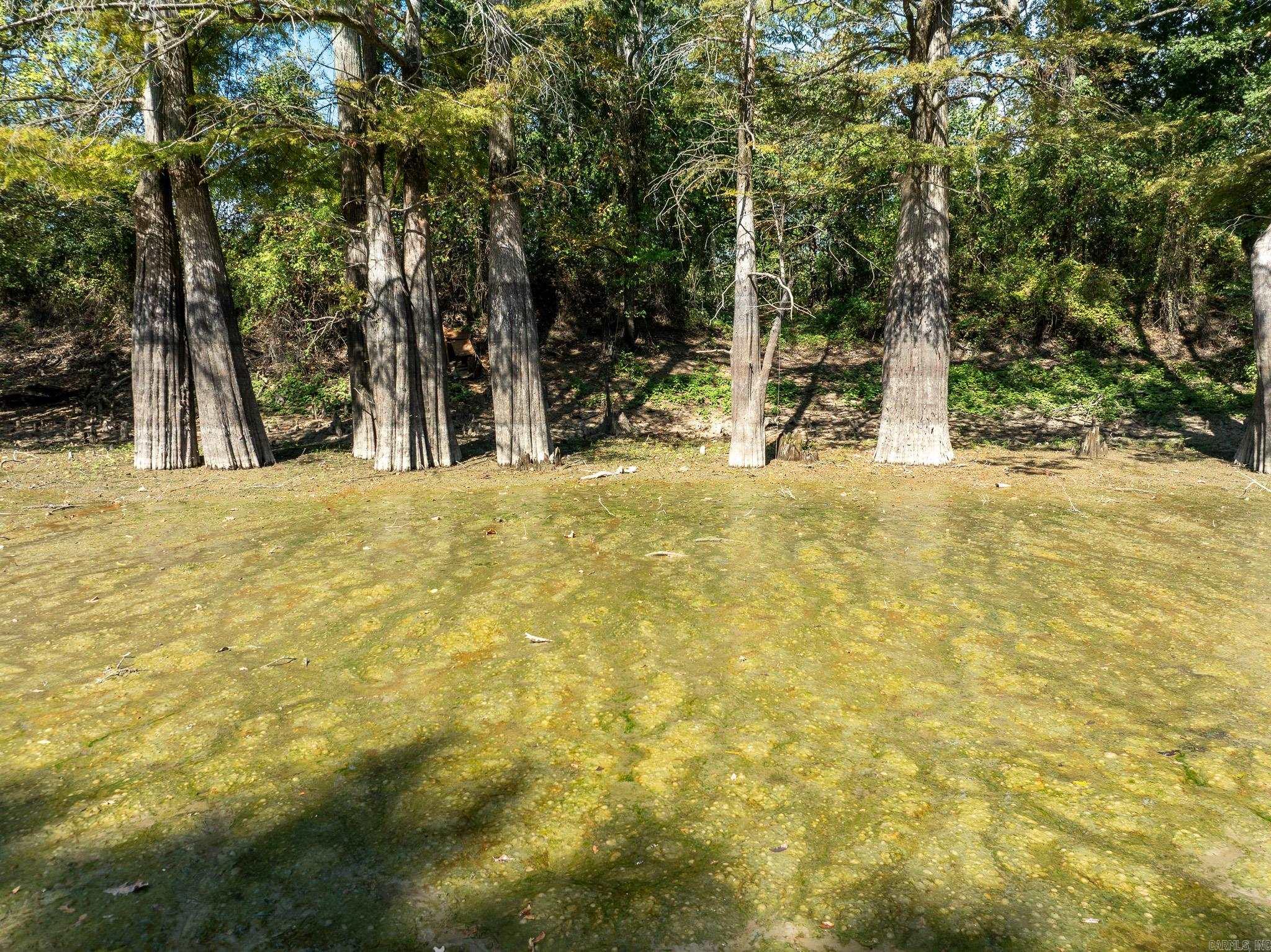 1806 Woodruff 135  Augusta, AR