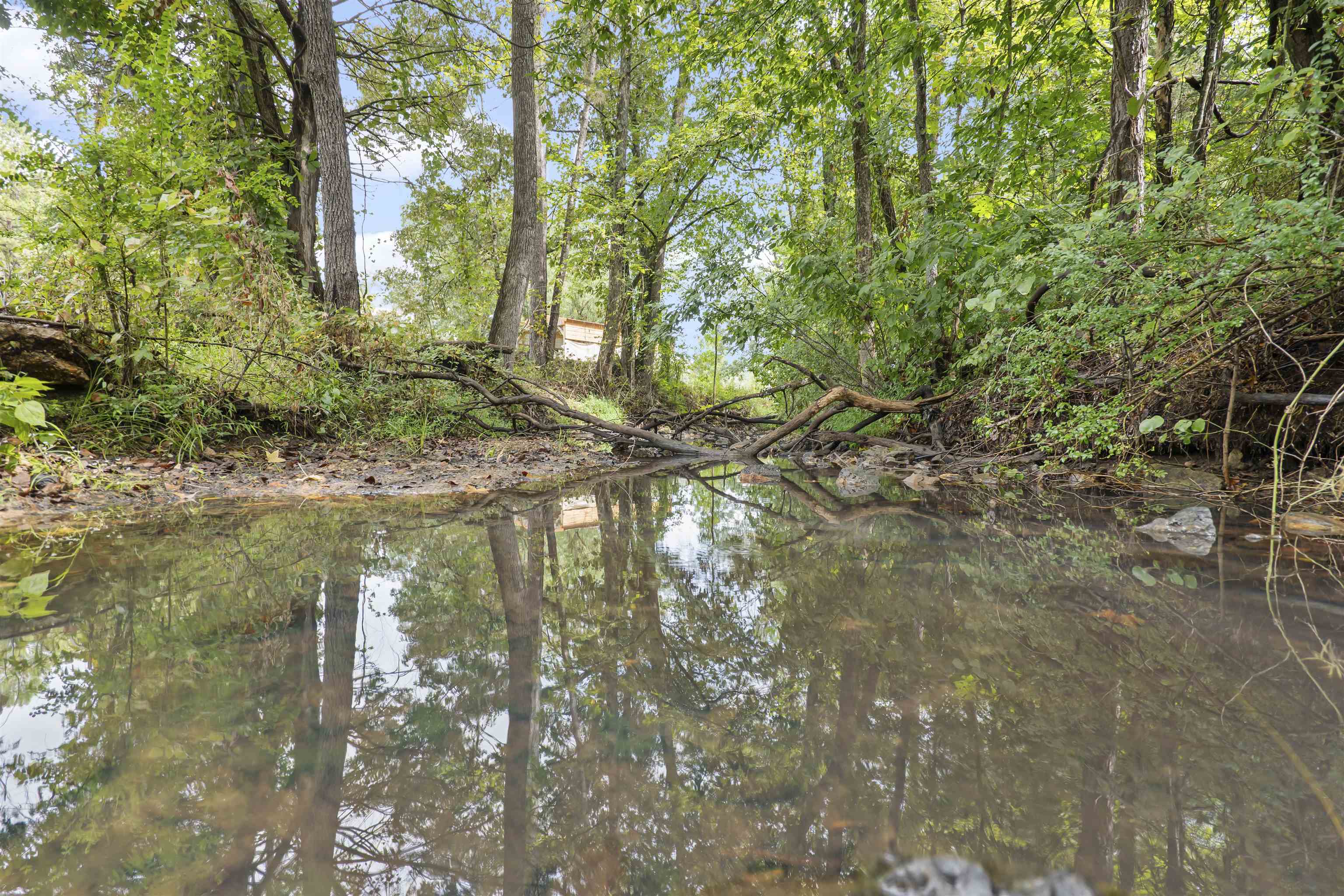 215 W Main  Evening Shade, AR