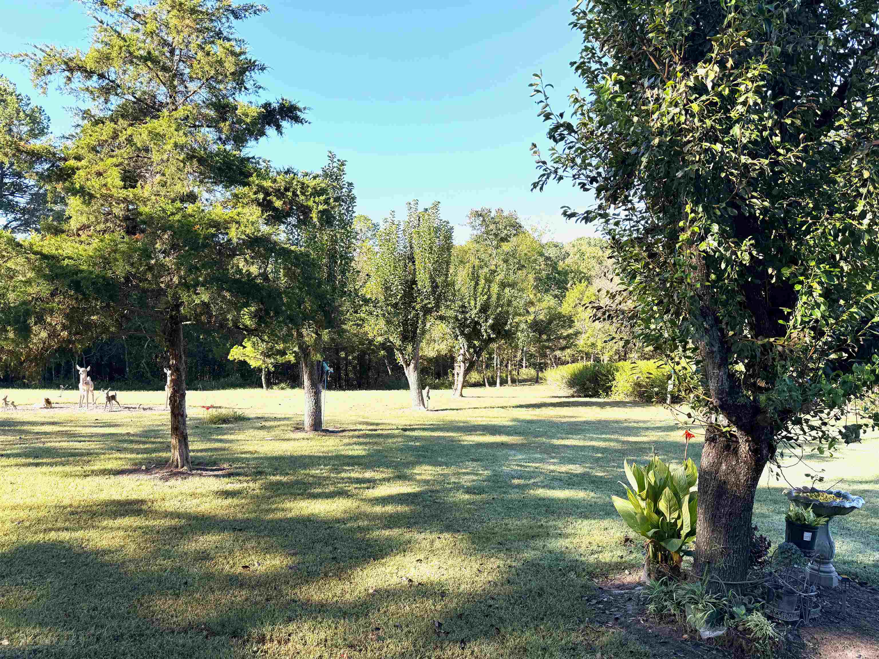 1172 S Boswell Road  Melbourne, AR