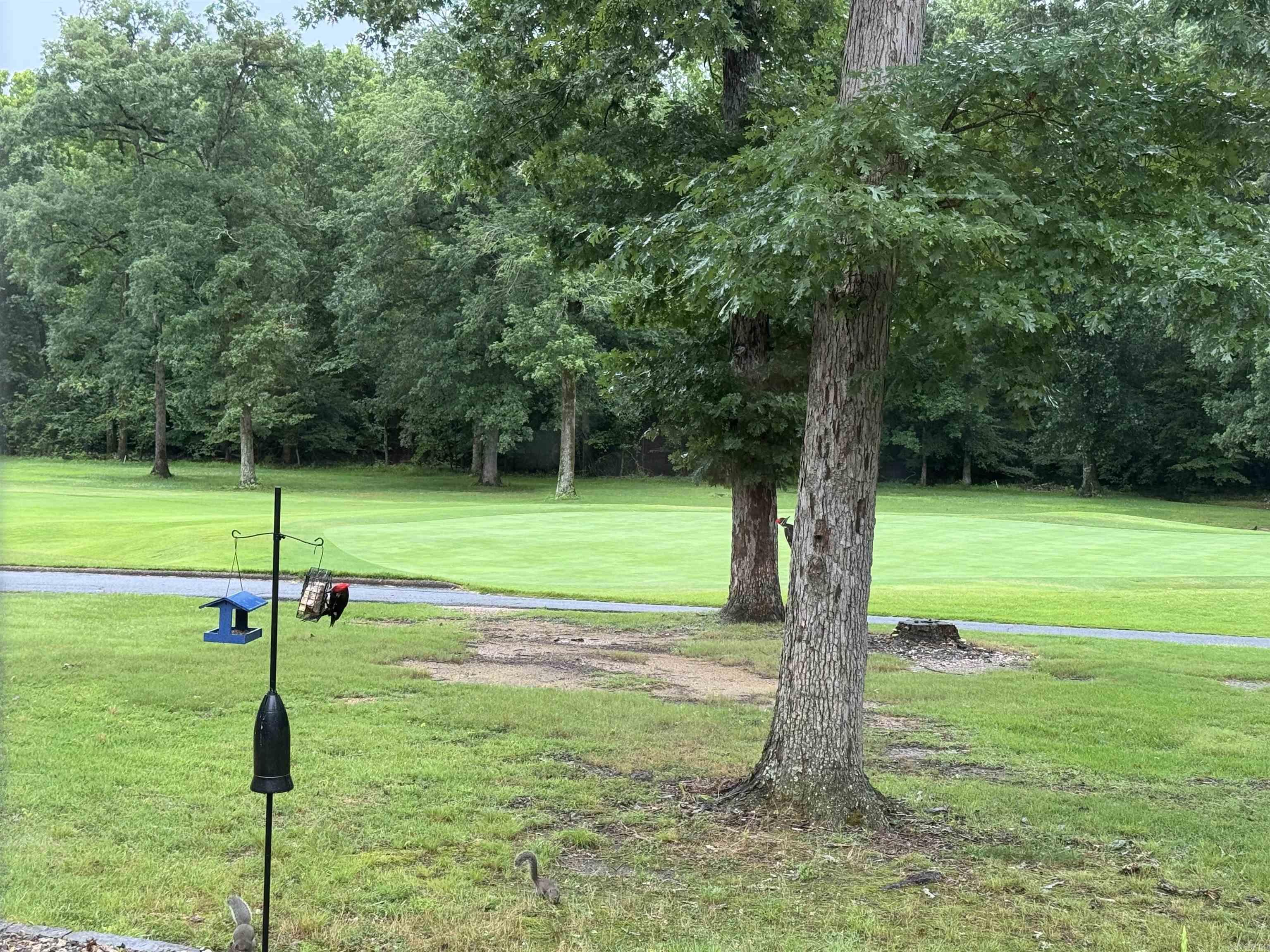 20 Hendaye  Hot Springs Village, AR