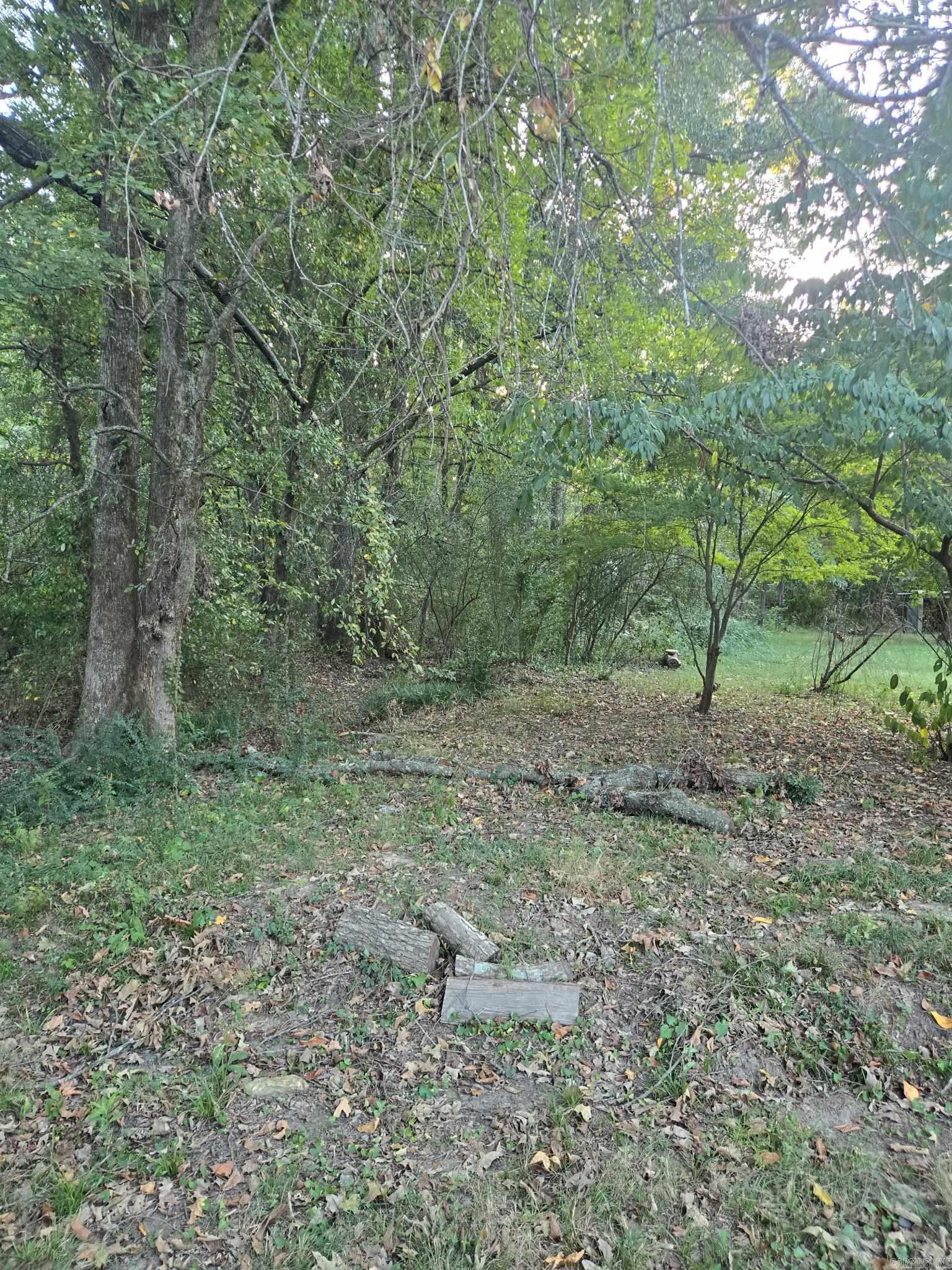 0 Henry Lane — photo 2