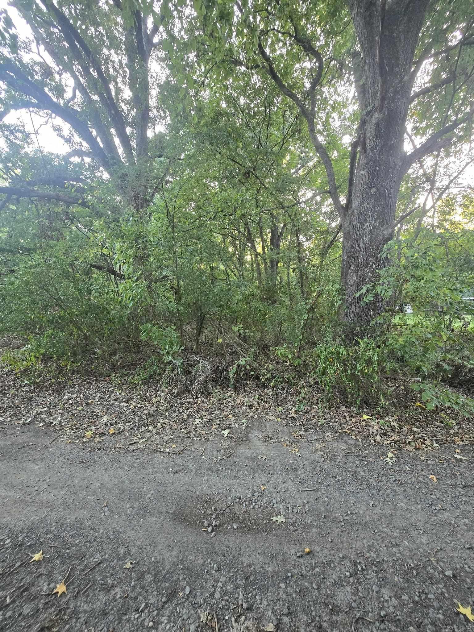 0 Henry Lane — photo 3