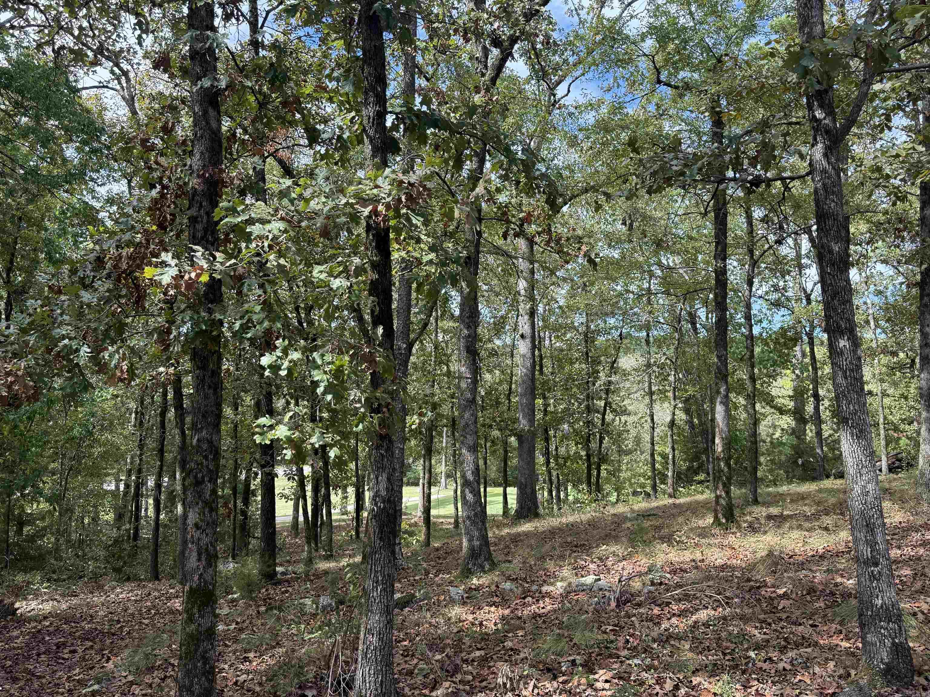 100 Ferdinand  Hot Springs Village, AR