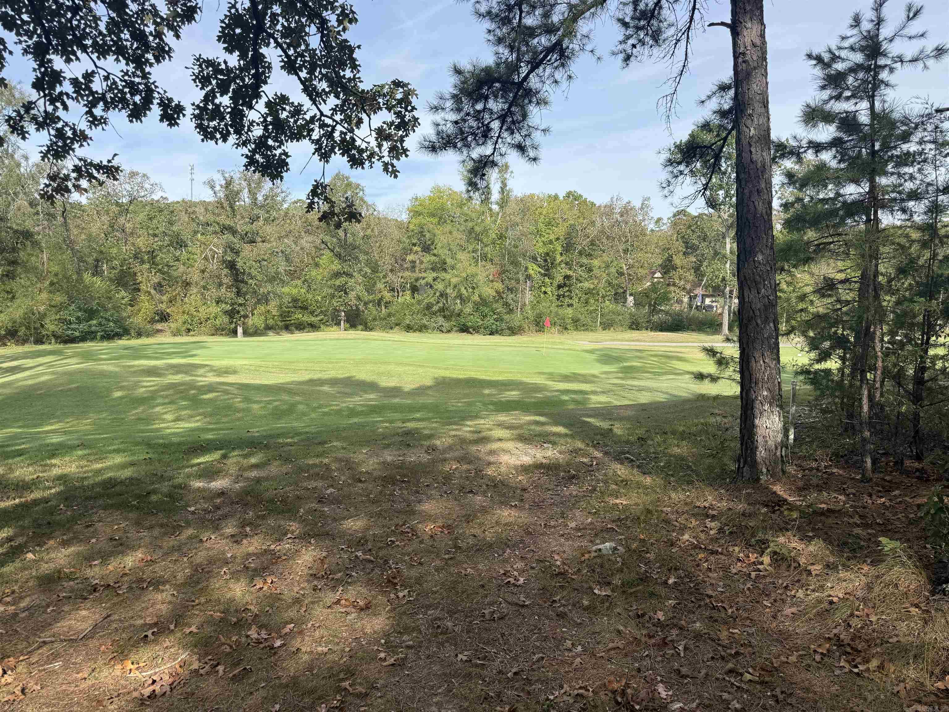 100 Ferdinand  Hot Springs Village, AR
