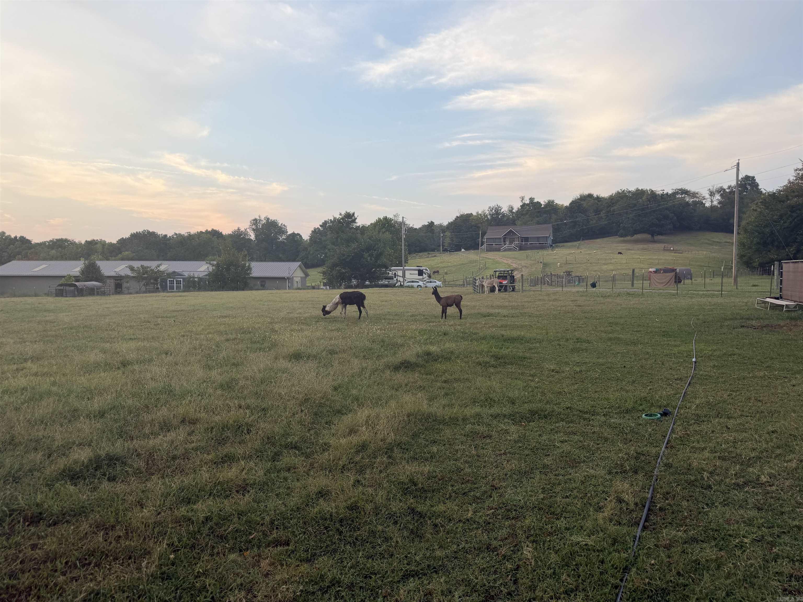 226 Feemster Drive Marshall, AR 72650