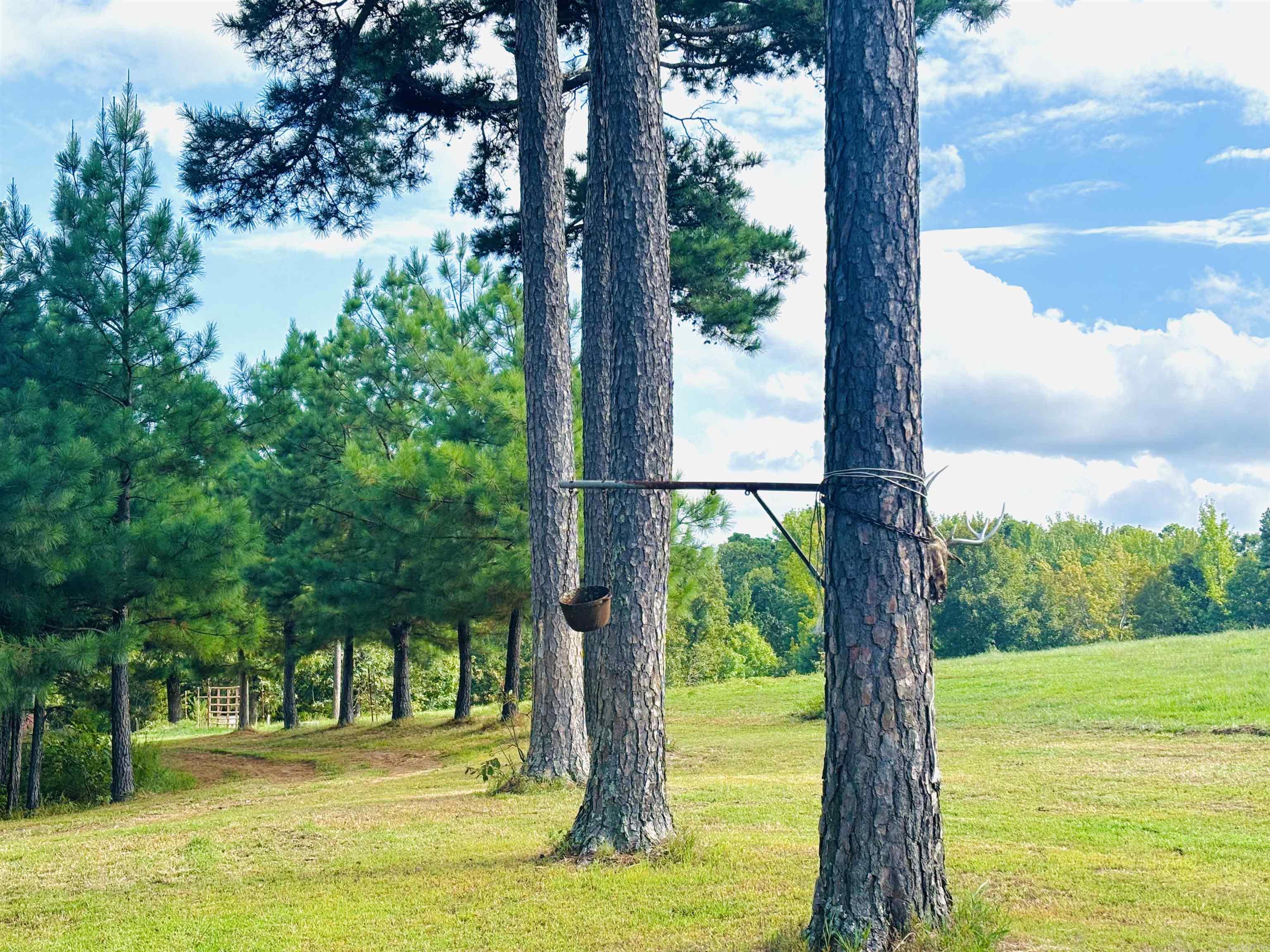 3334 Little Red River  Marshall, AR