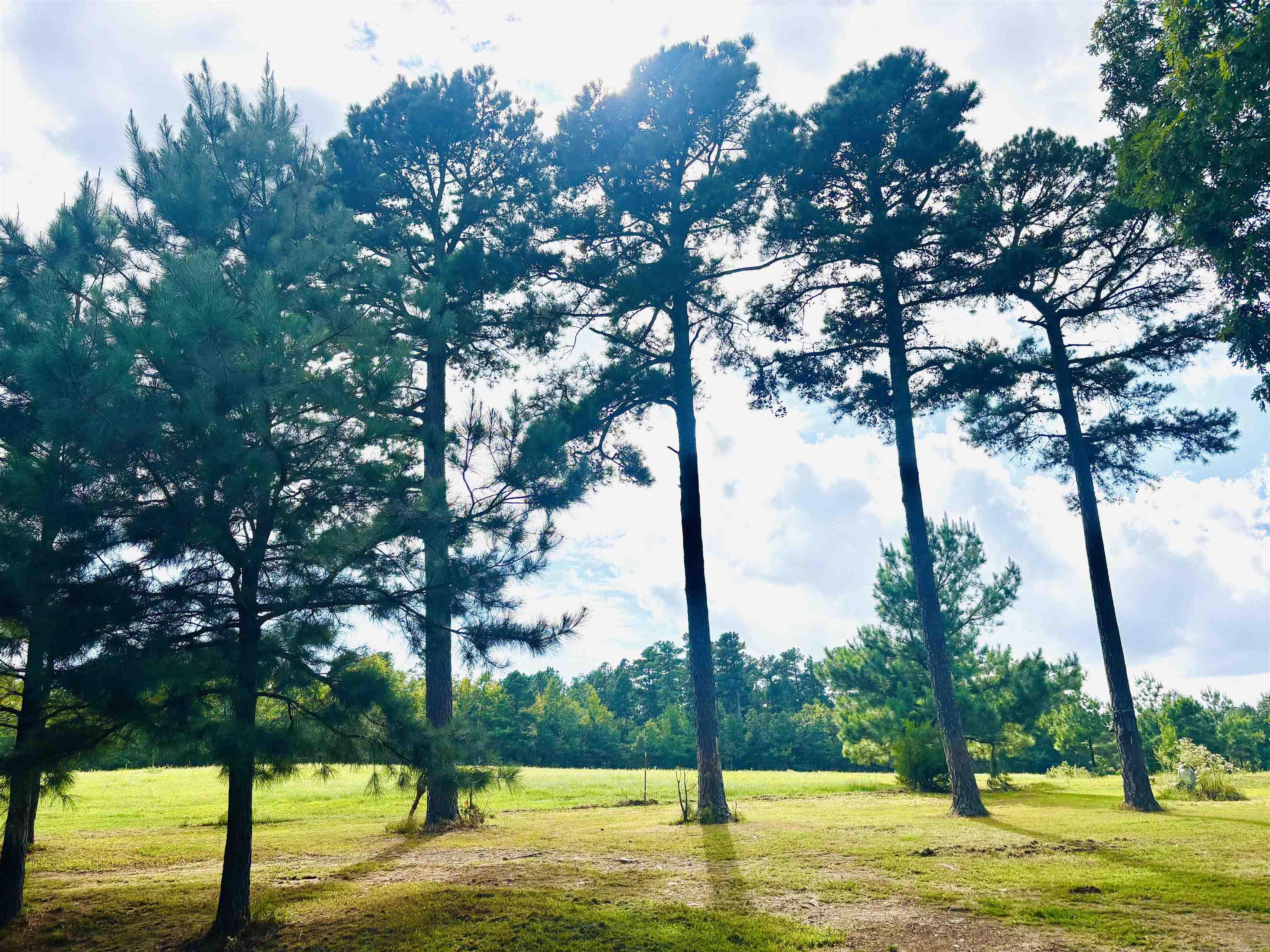 3334 Little Red River  Marshall, AR
