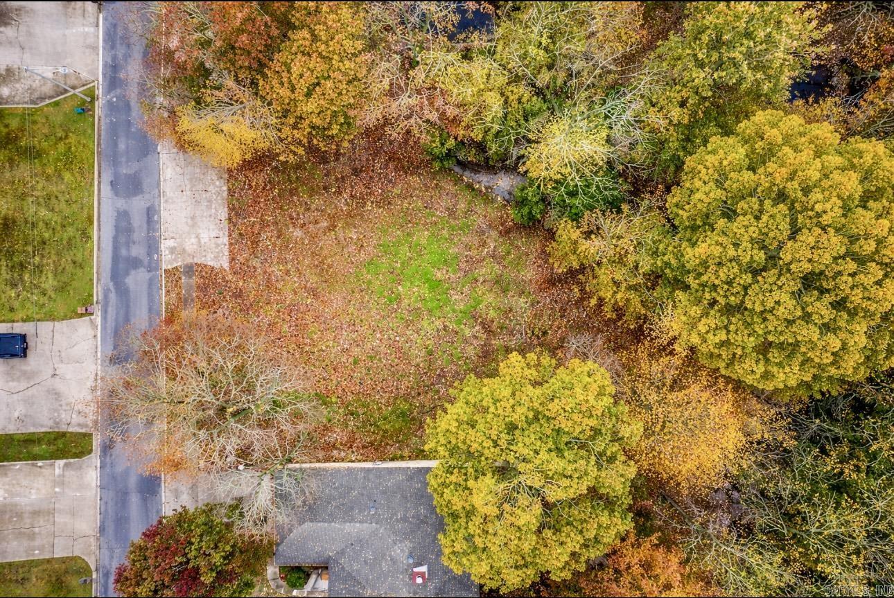 1115 CLAYCUT Circle — photo 5