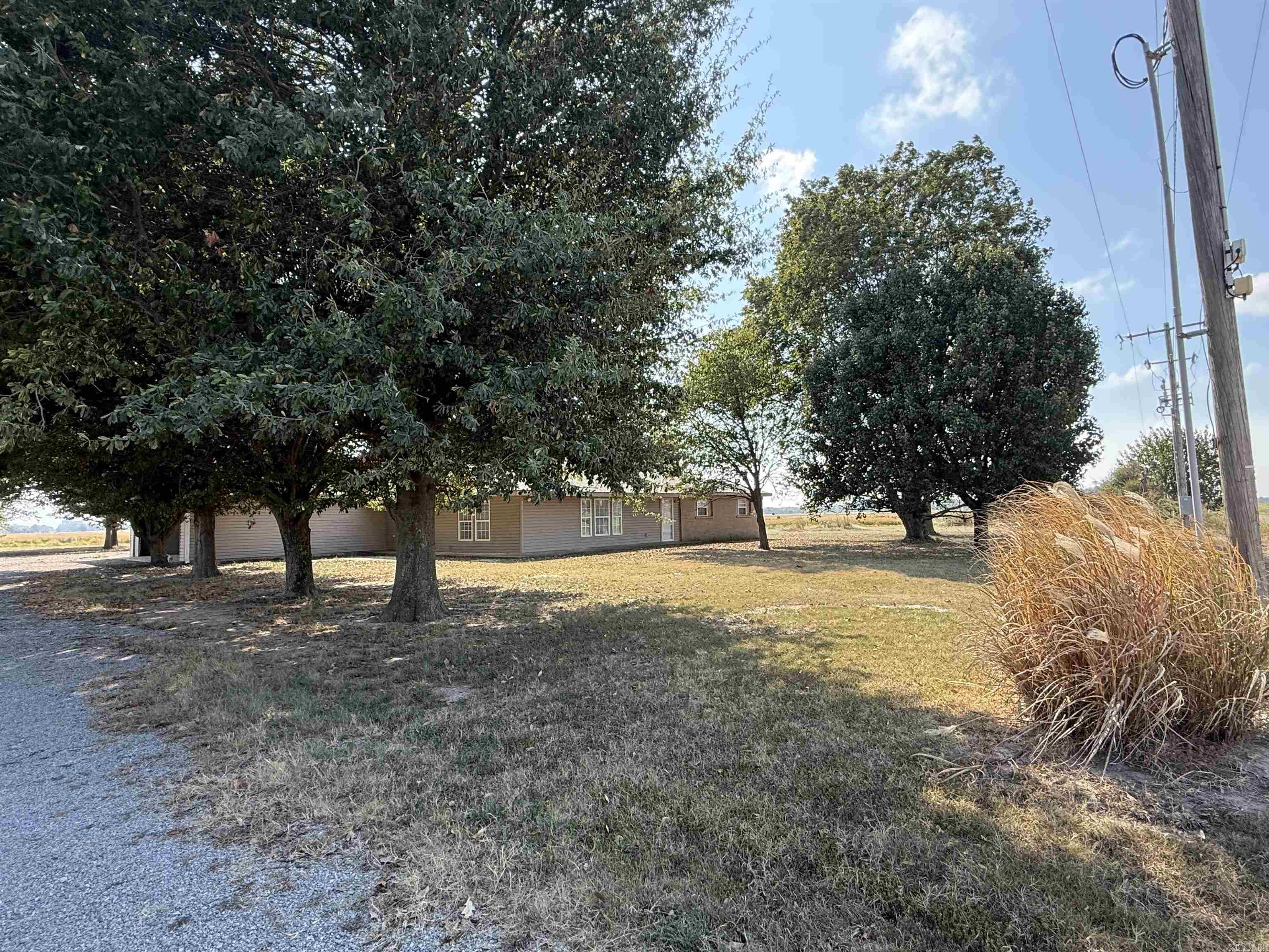 317 County road 104  Hickory Ridge, AR