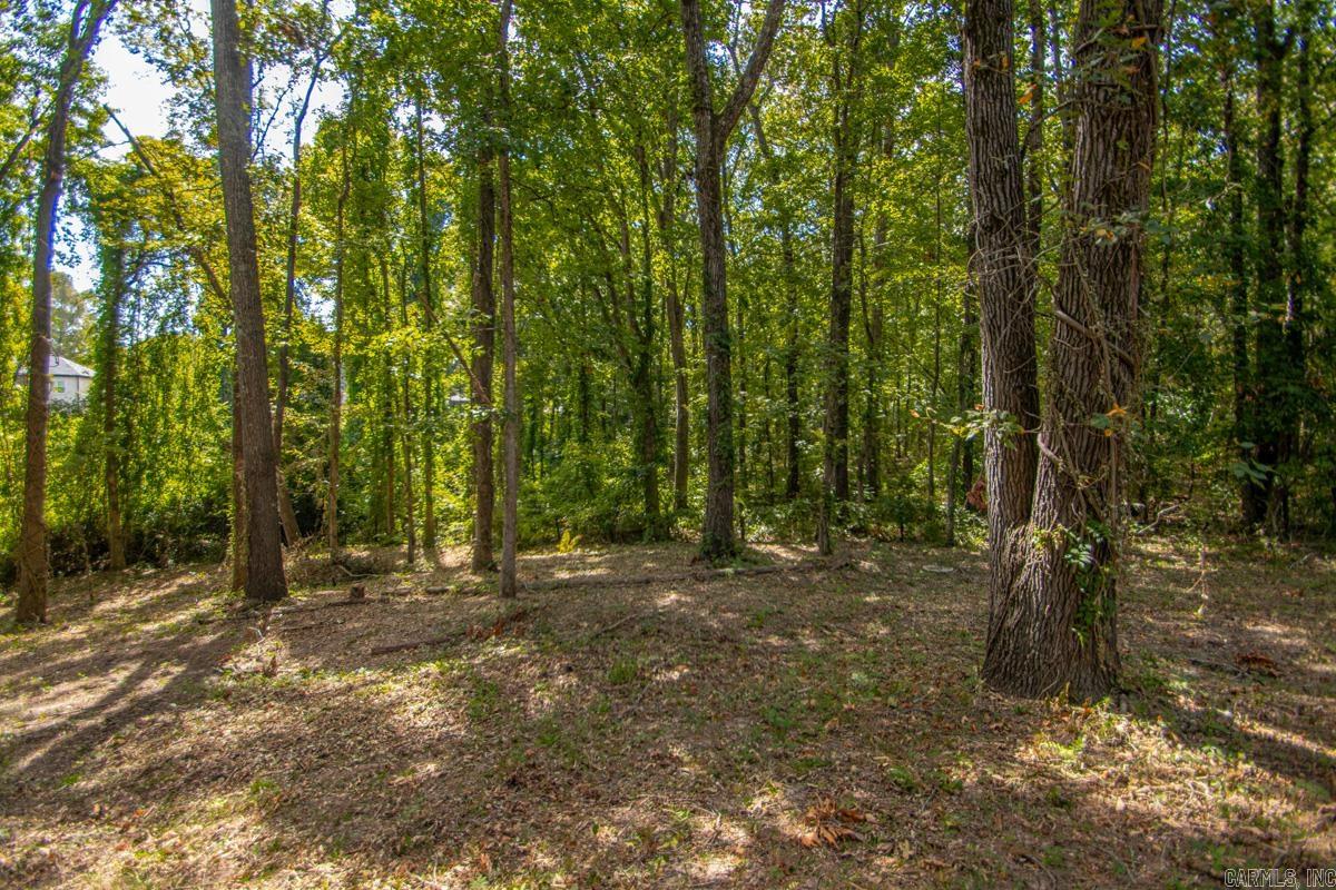 6313 Beech St  Bauxite, AR