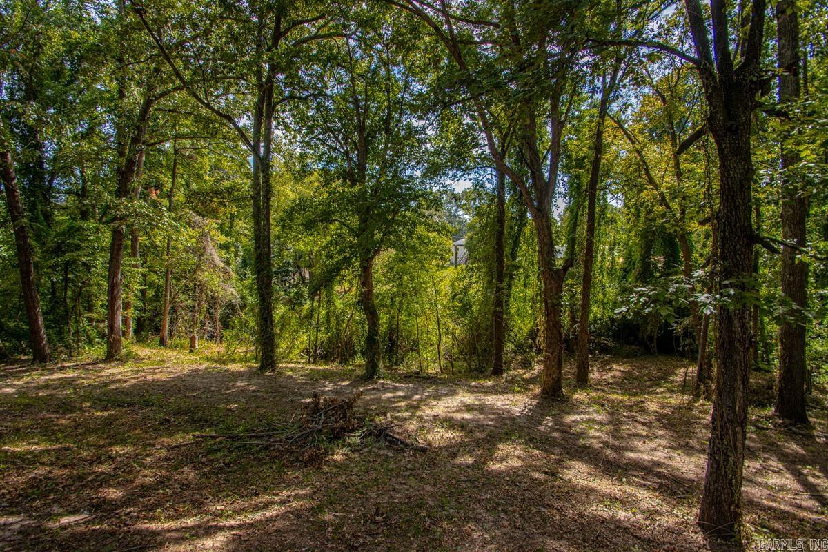 6313 Beech St  Bauxite, AR