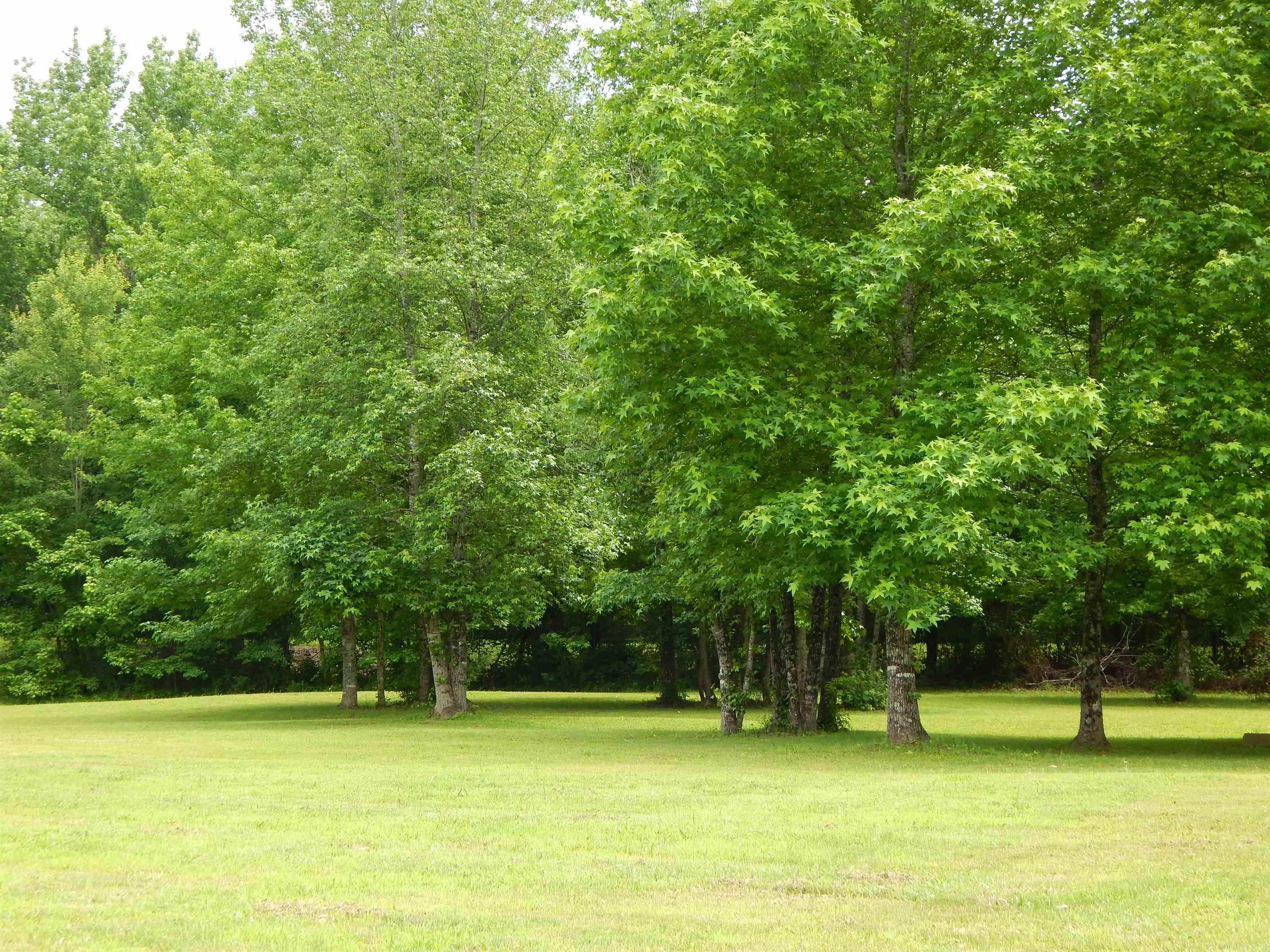 12 River View Drive — photo 2