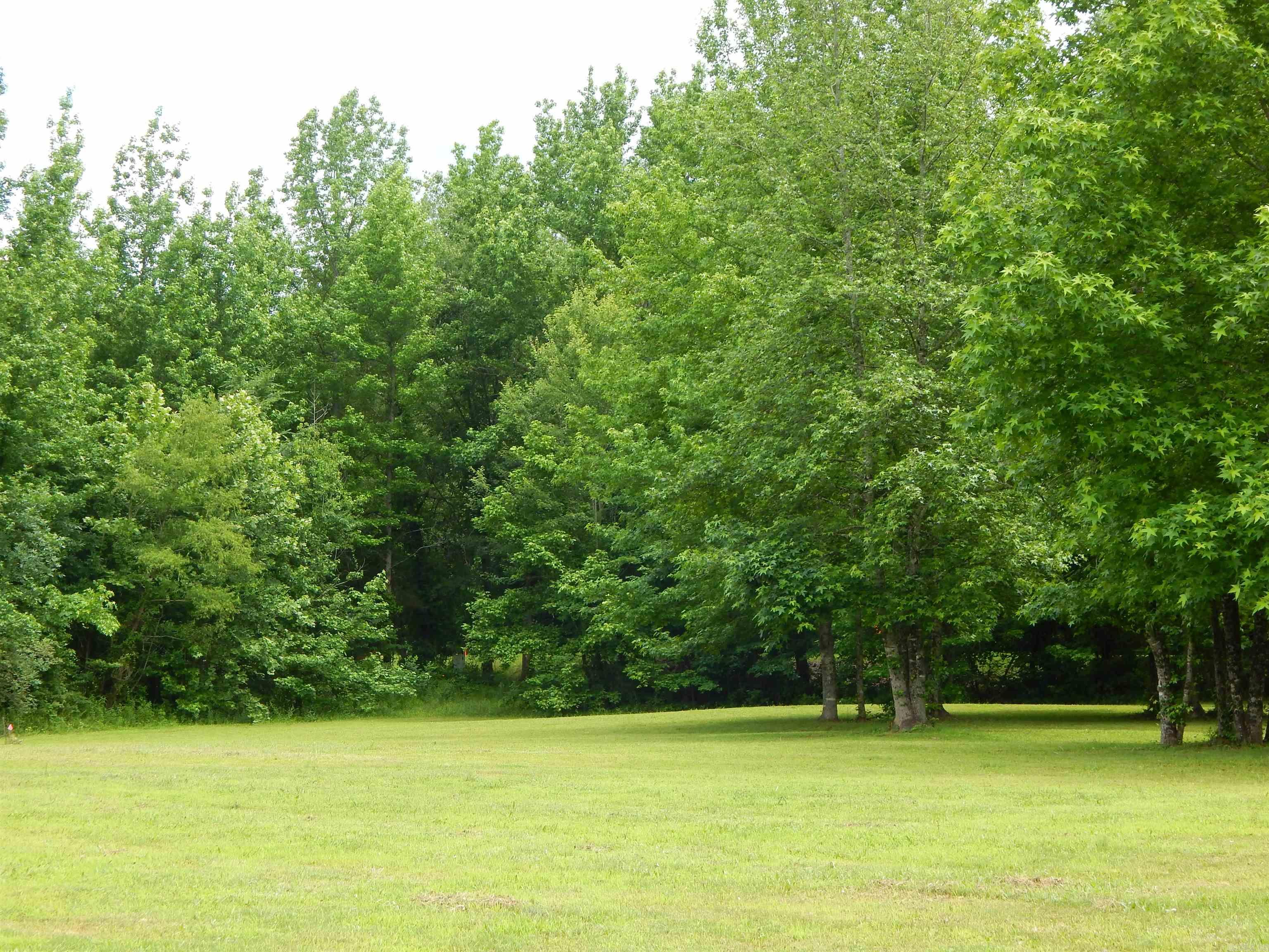 12 River View Drive — photo 3