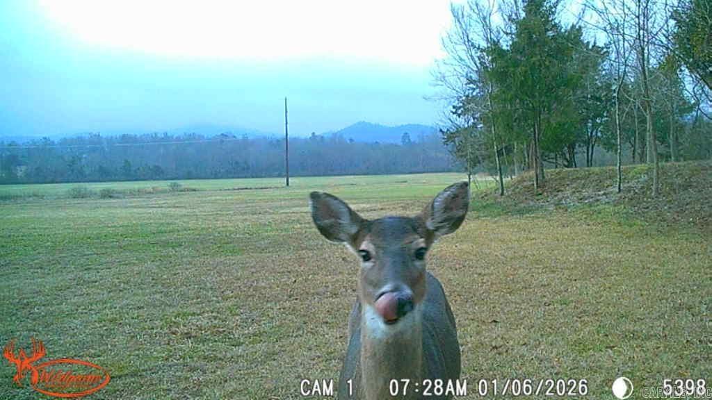 344 E Hwy 375 Mena, AR 71953