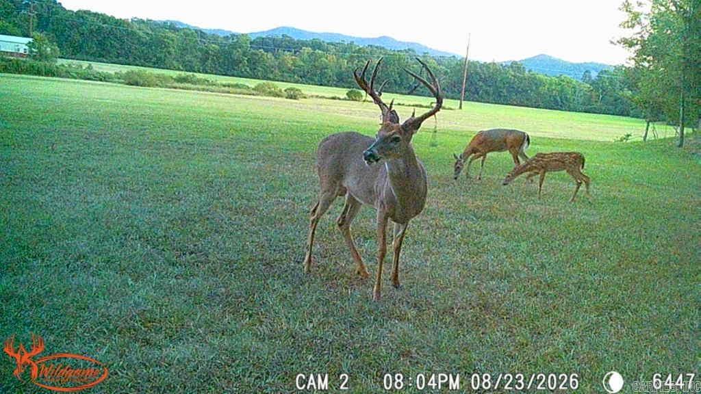 344 E Hwy 375 Mena, AR 71953