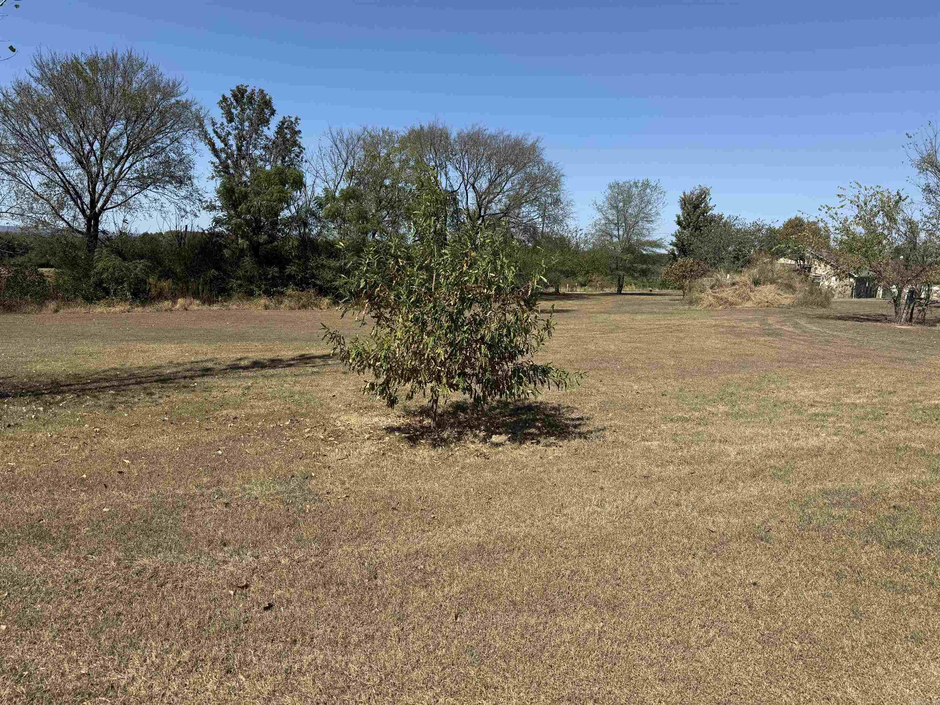 228 Bliss  Judsonia, AR