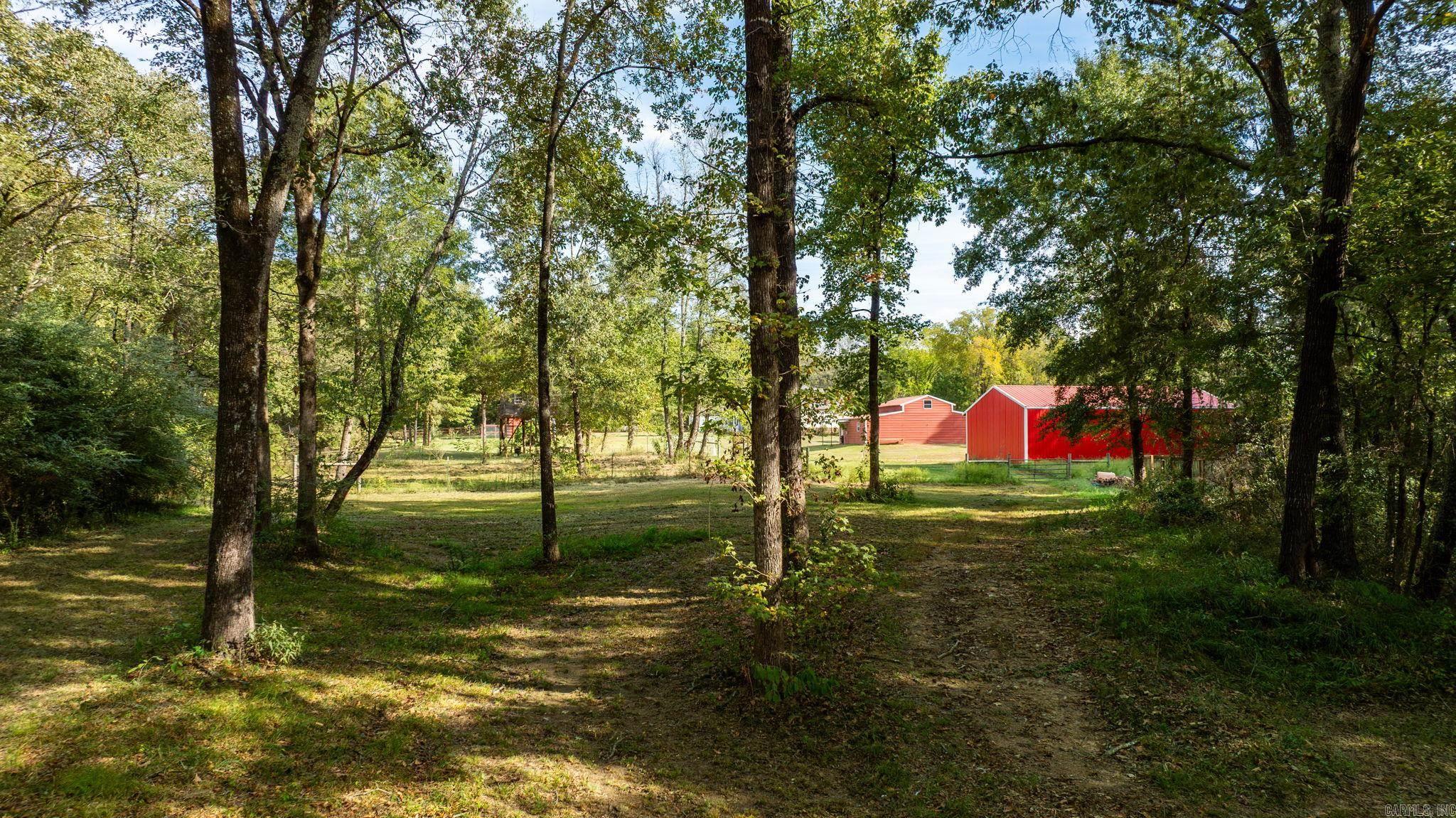 29 Piney Bigelow, AR 72016