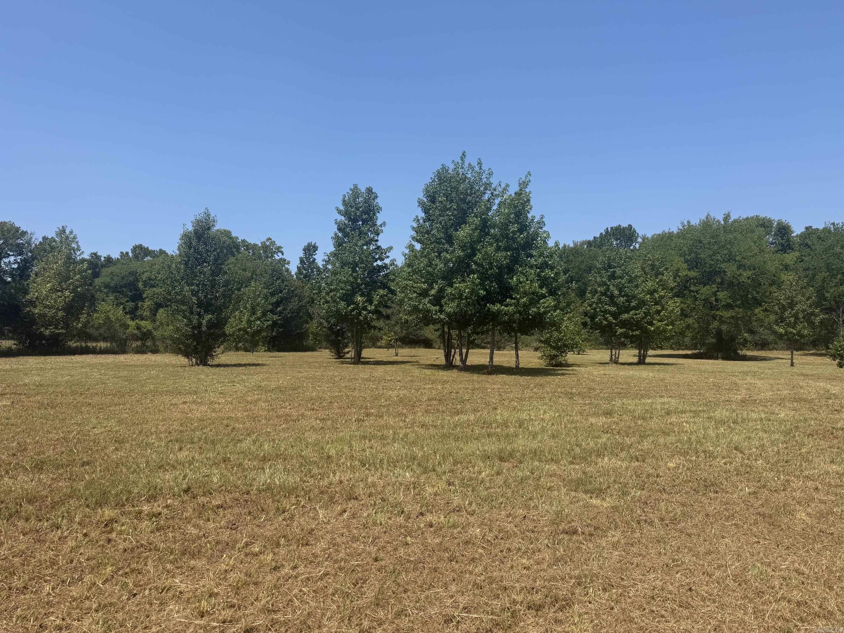 169  Alydar  Hot Springs, AR