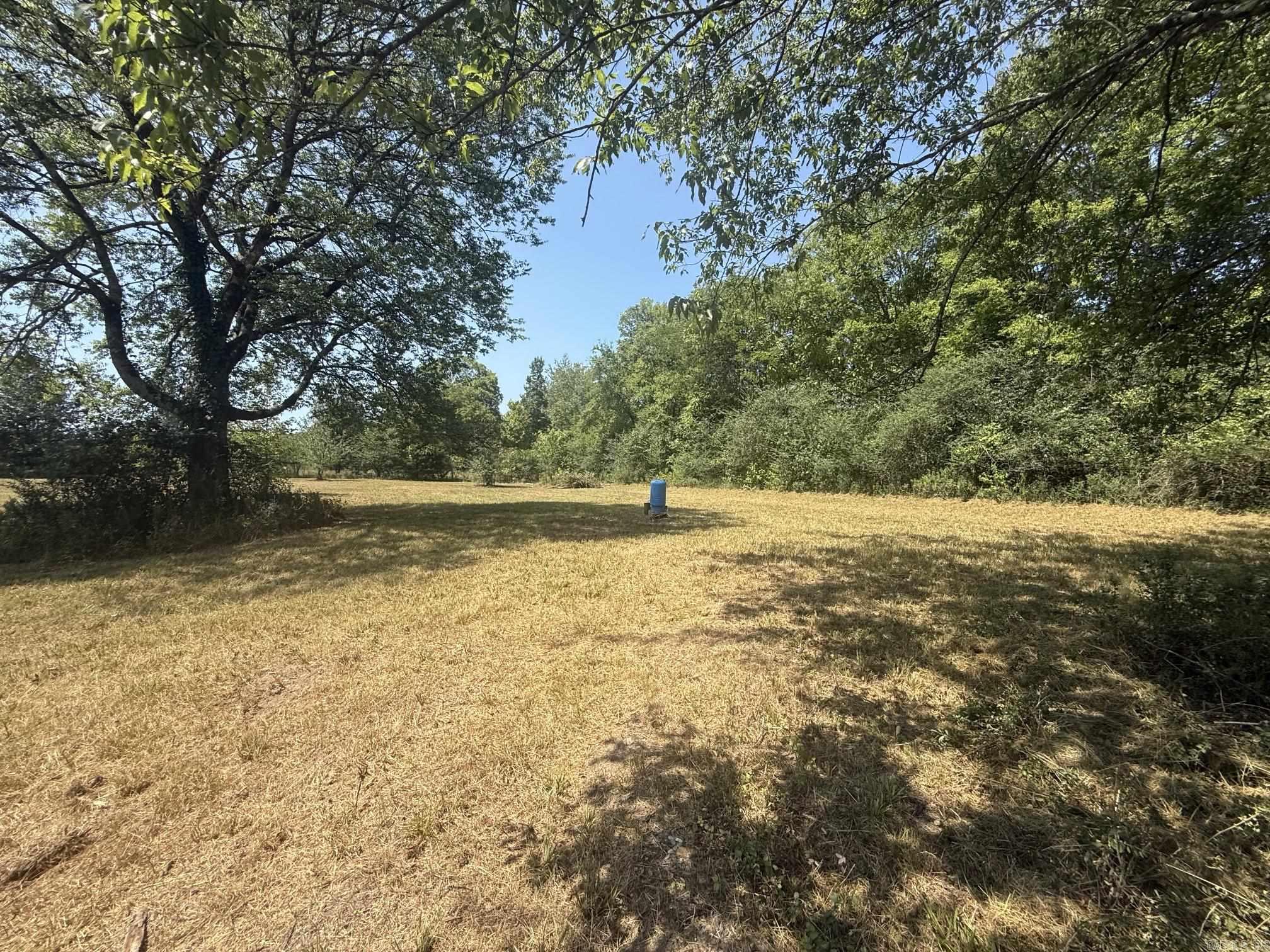 169 Alydar  Hot Springs, AR