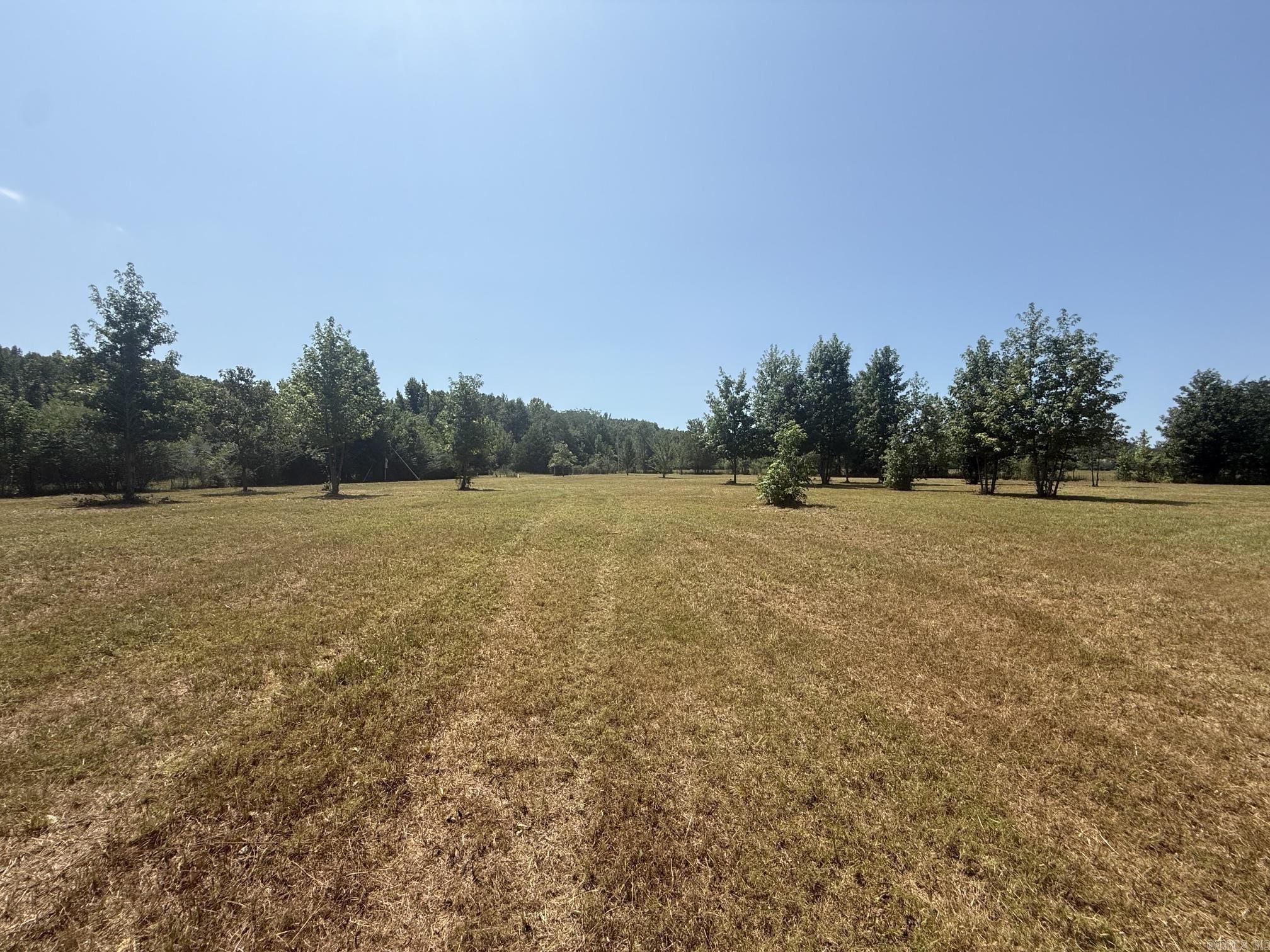 169 Alydar  Hot Springs, AR