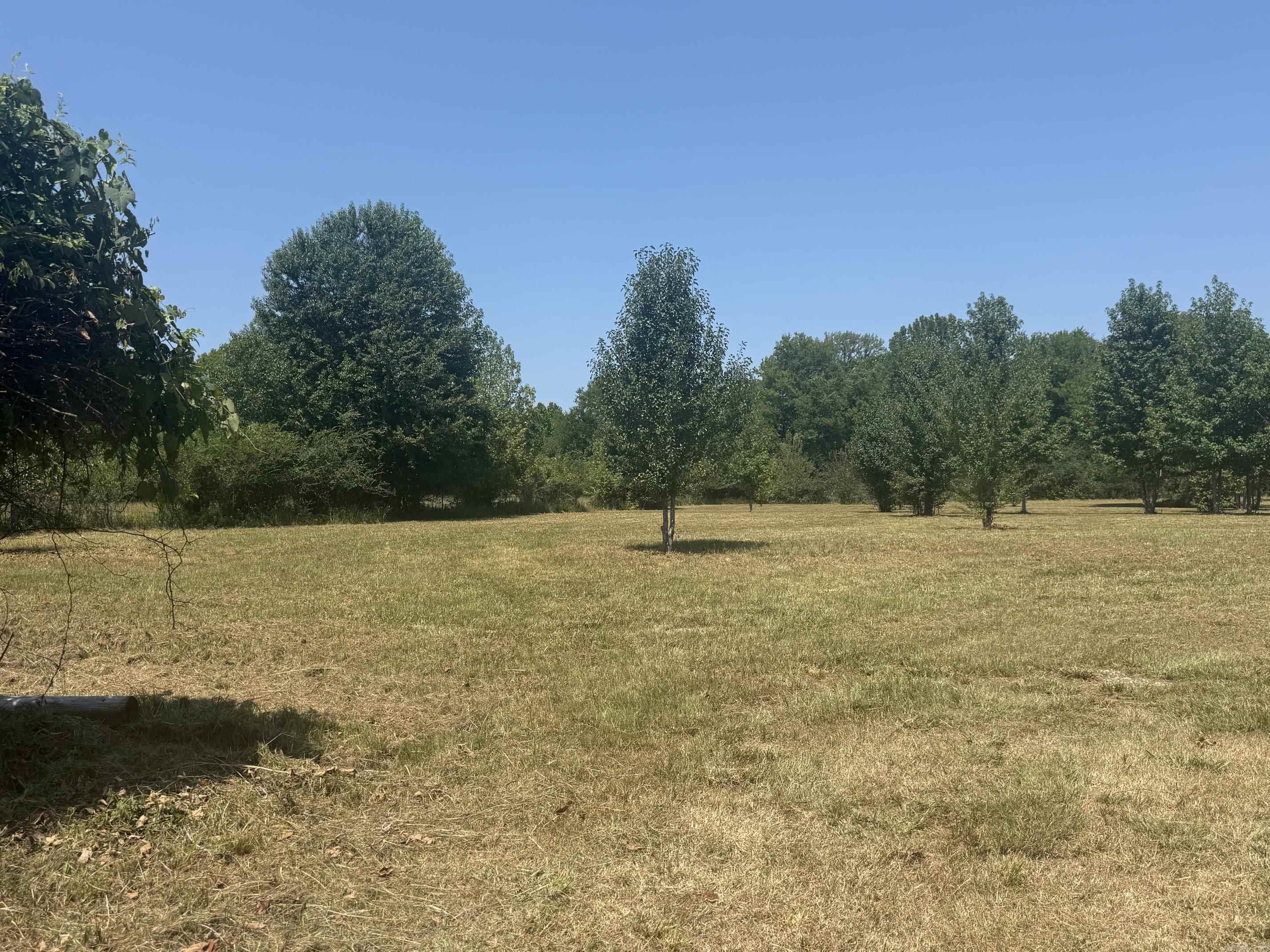 169 Alydar  Hot Springs, AR