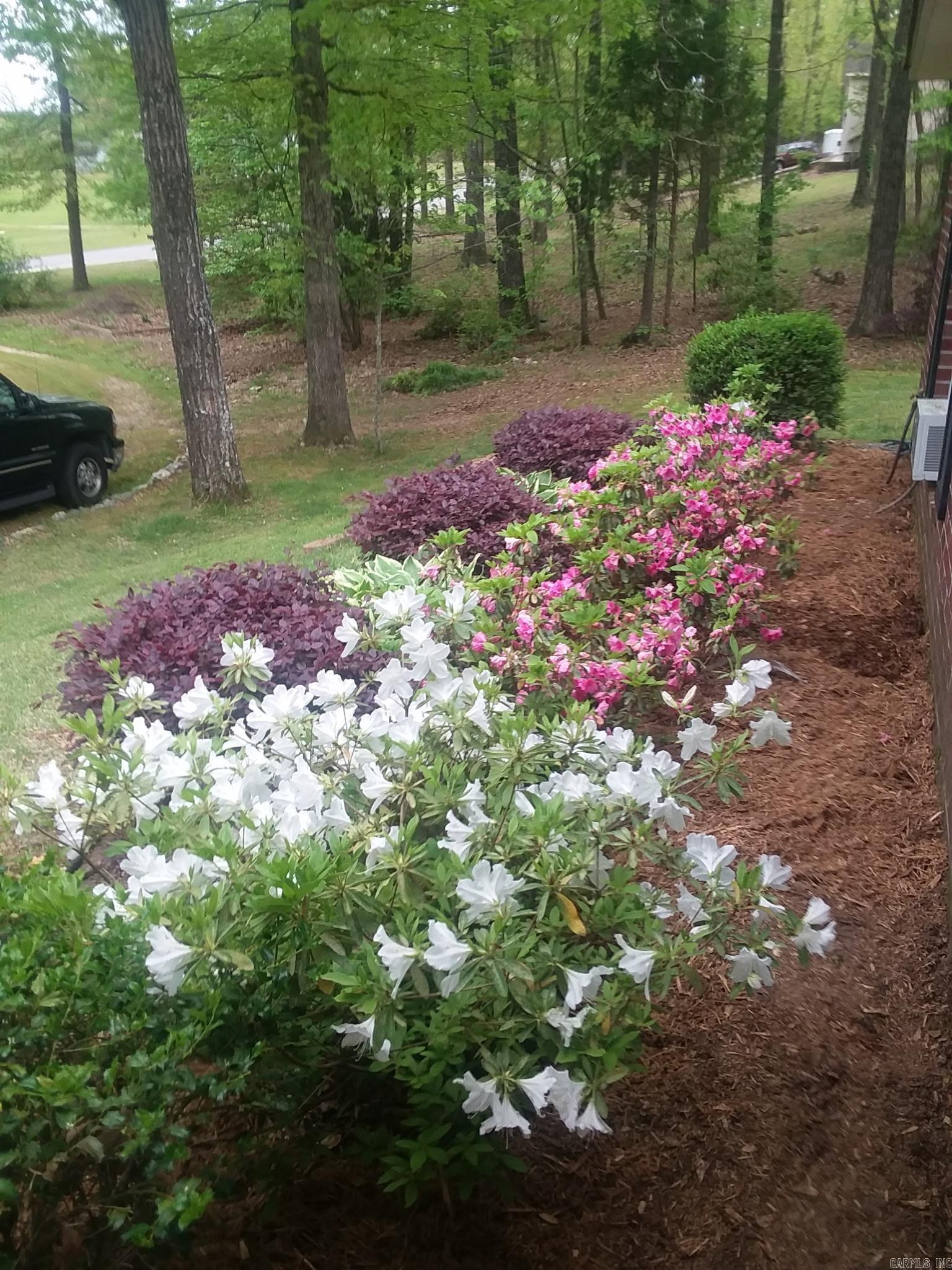291 Whispering winds Dr  Traskwood, AR
