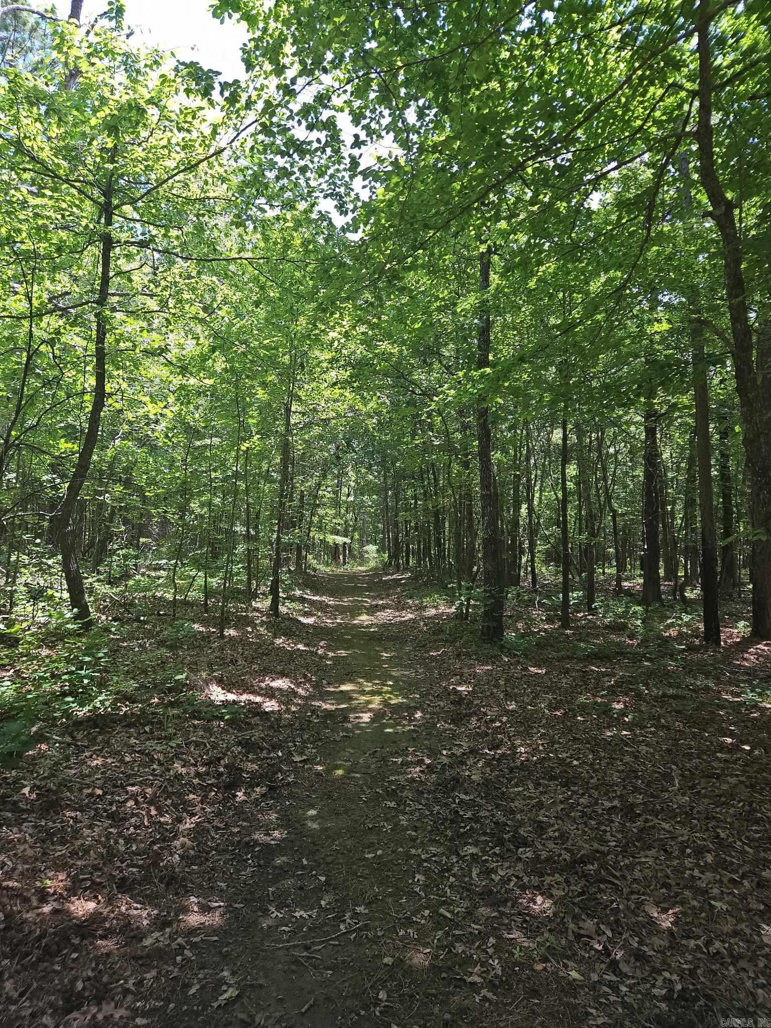 40220 Reece Creek Rd Bigelow, AR 72016