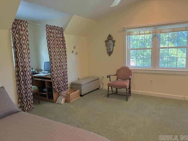1044 Whipporwill Lane Mountain View, AR 72560