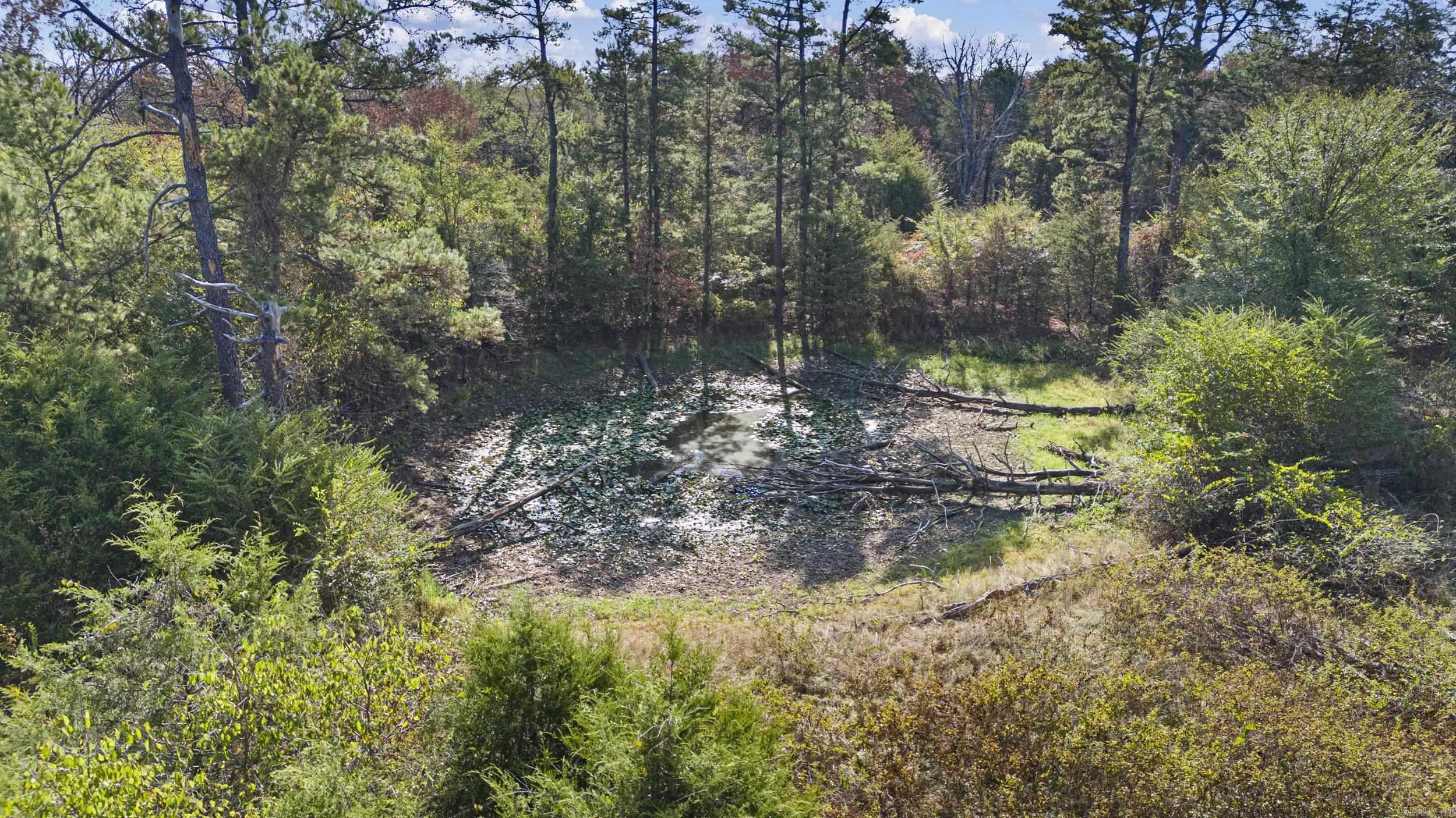 4608 Deer Track  Ozark, AR