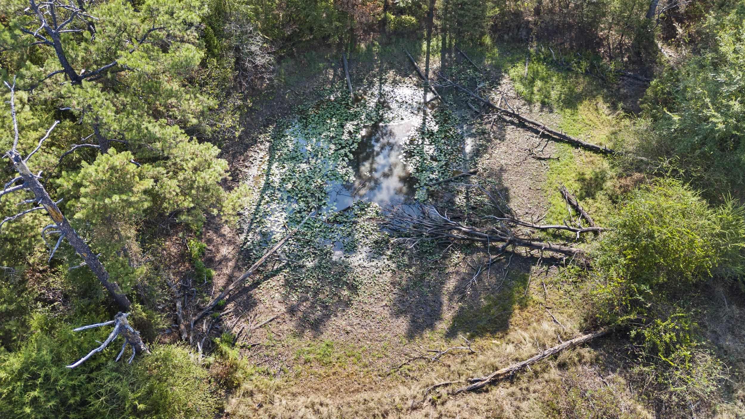 4608 Deer Track  Ozark, AR