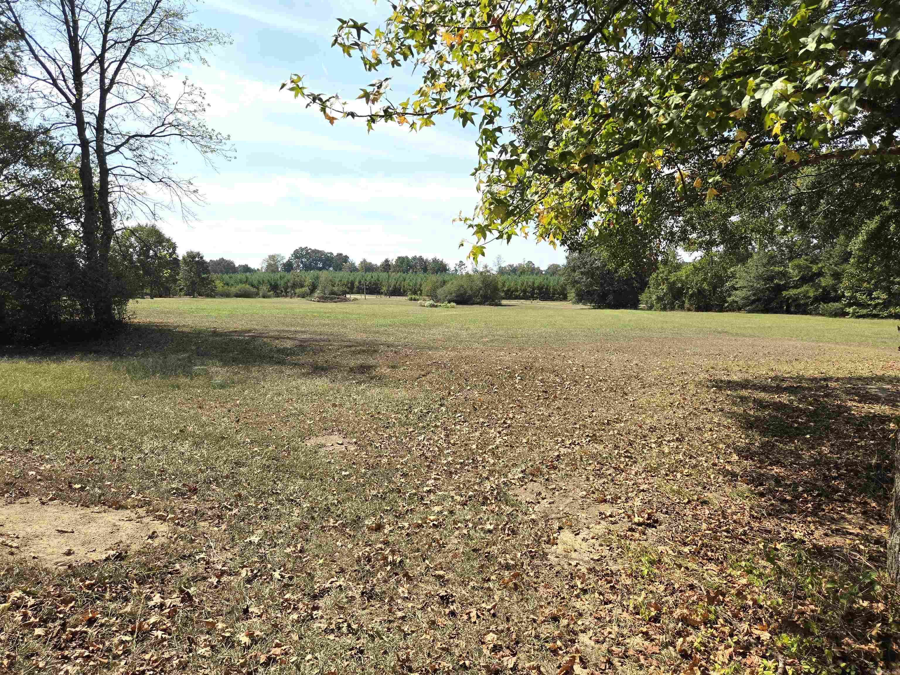 157 & 161 Oak Hill Road Nashville, AR 71852