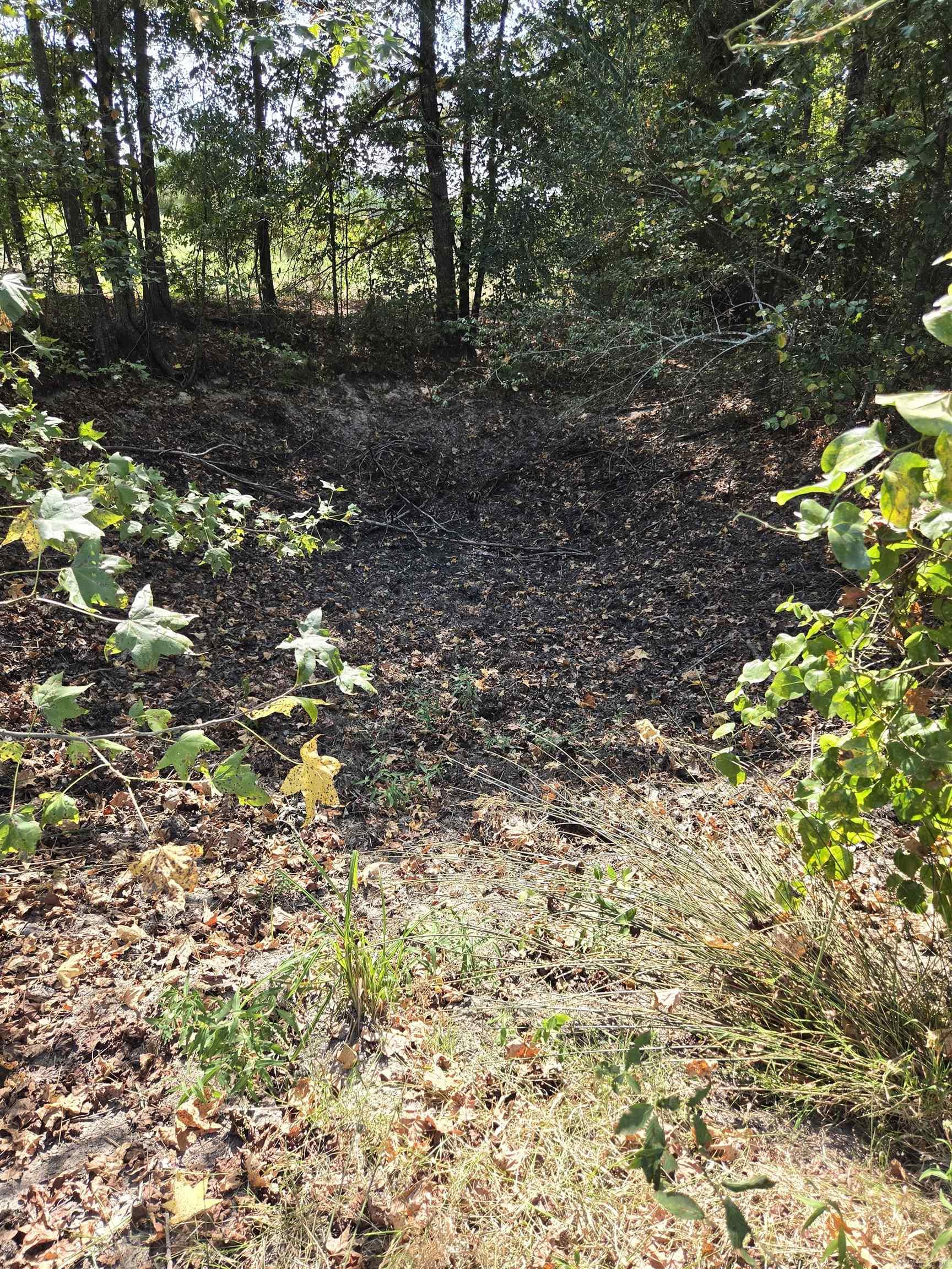 157 & 161 Oak Hill Road Nashville, AR 71852
