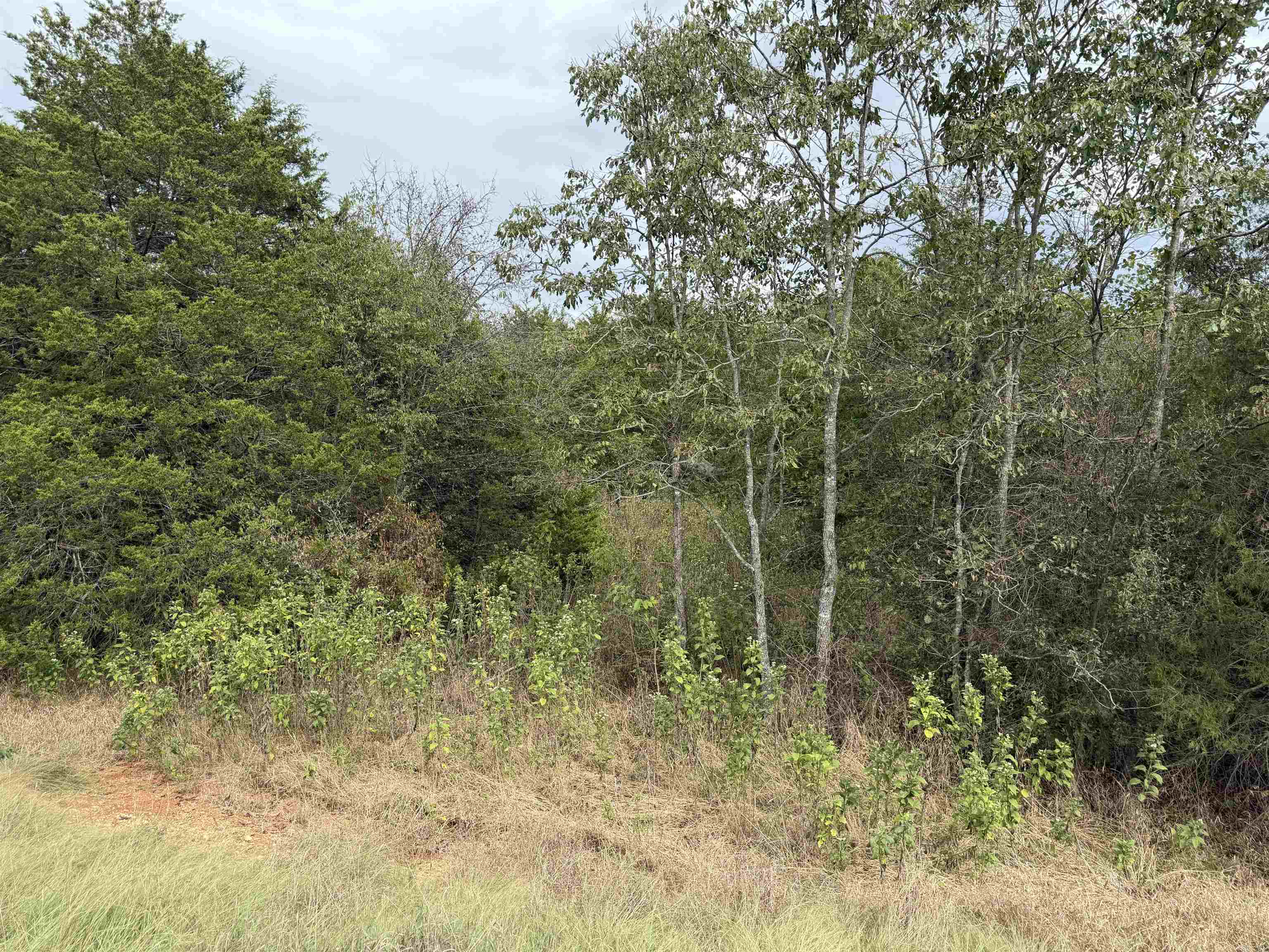 Tbd N Hwy 289