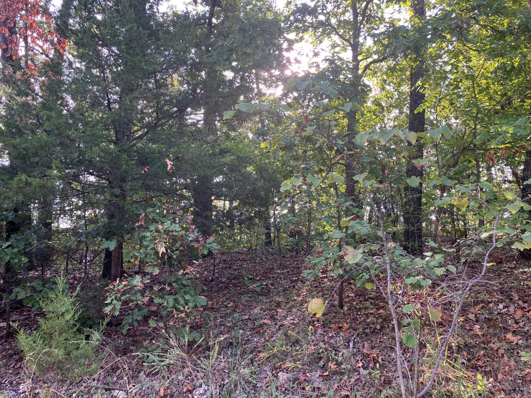 Lots 11-15 Tucker Road