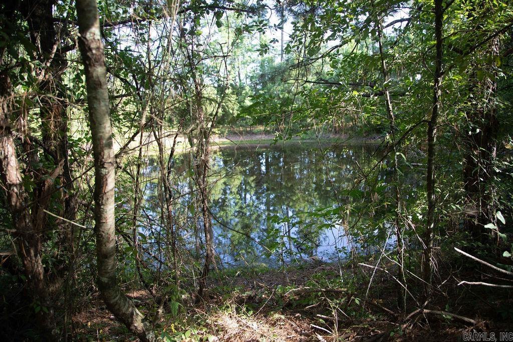 2640 Moores Church Rd Rison, AR 71665