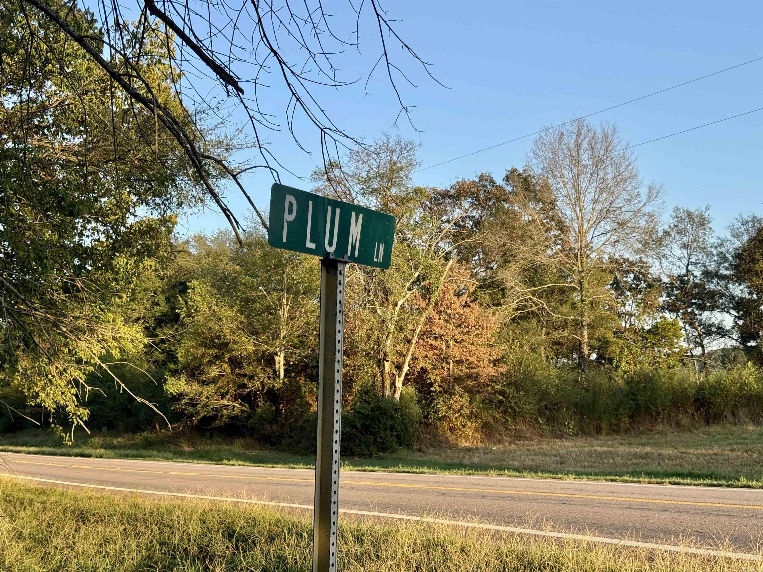 190 Plum Ln  Mena, AR