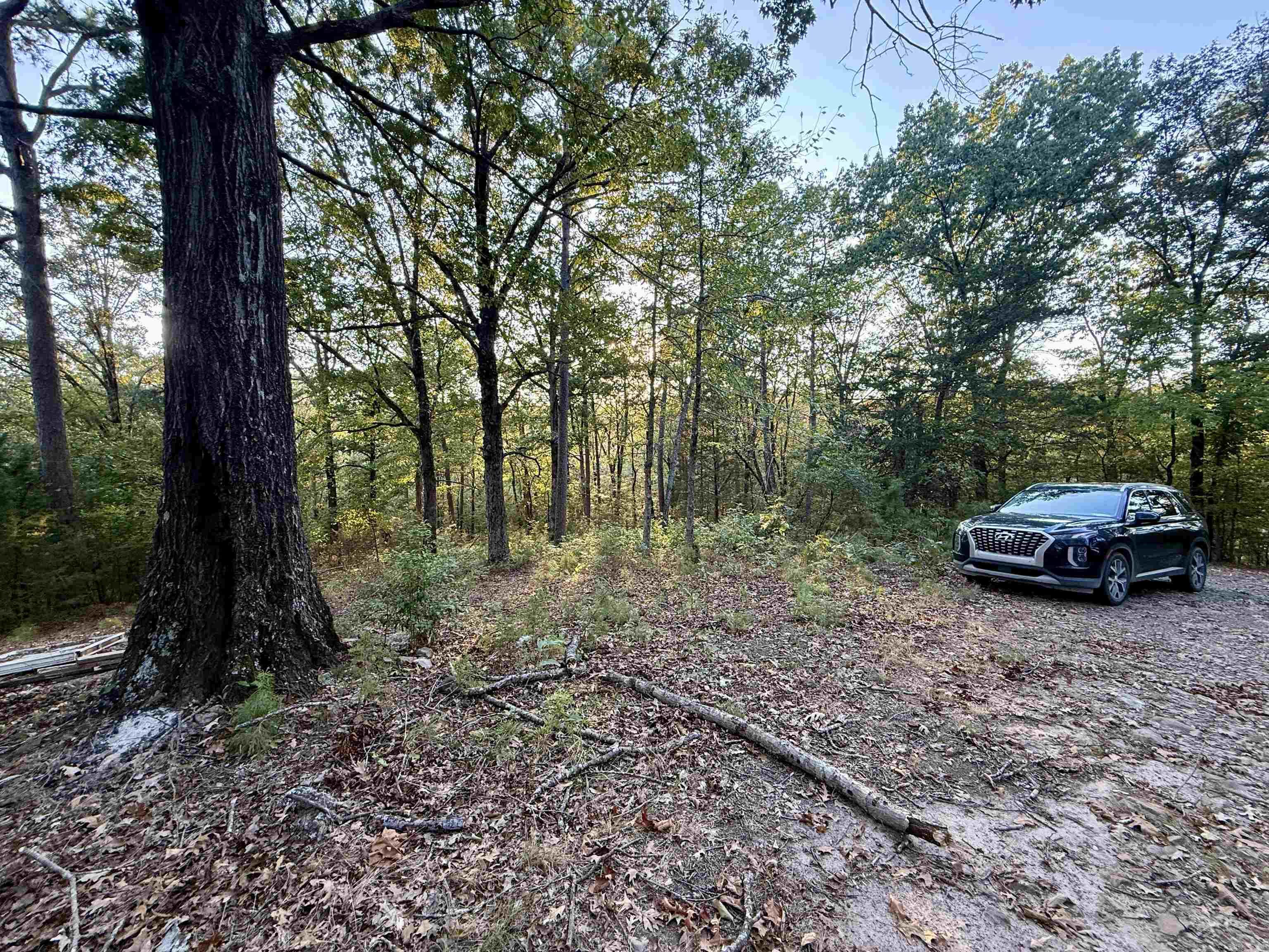 190 Plum Ln  Mena, AR