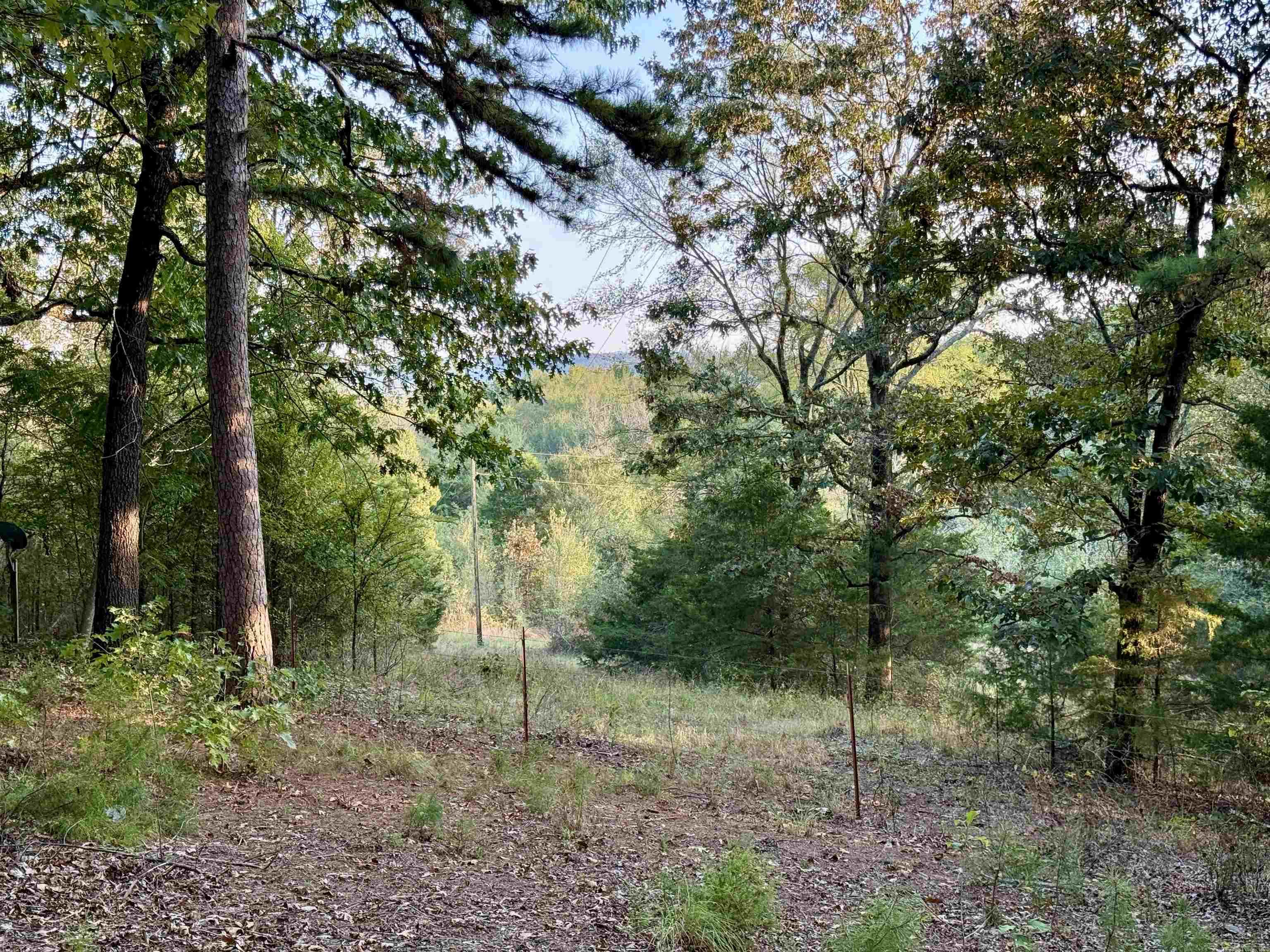 190 Plum Ln  Mena, AR