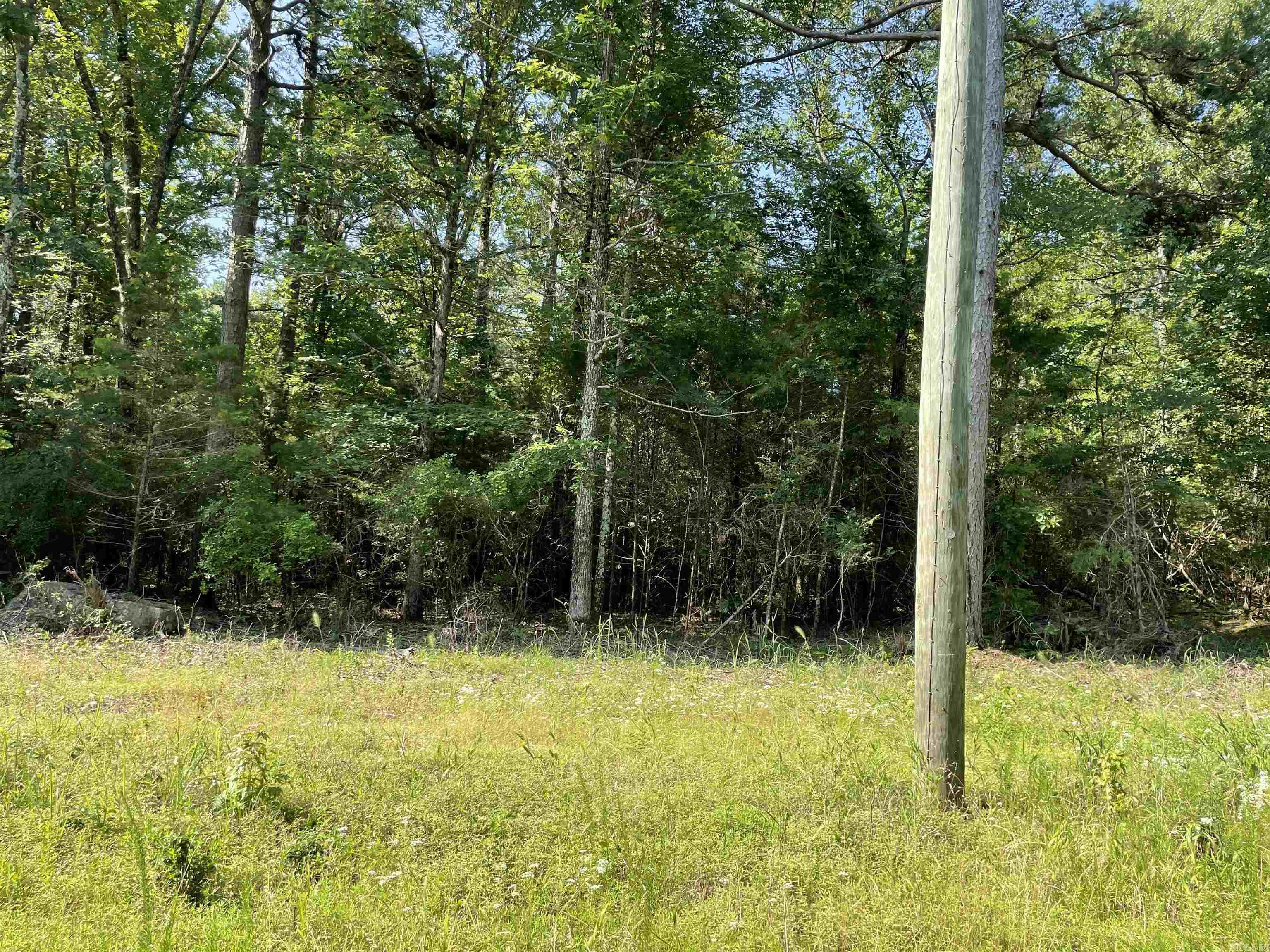 Lot 3 Pleasant Ridge Road Greers Ferry, AR 72067