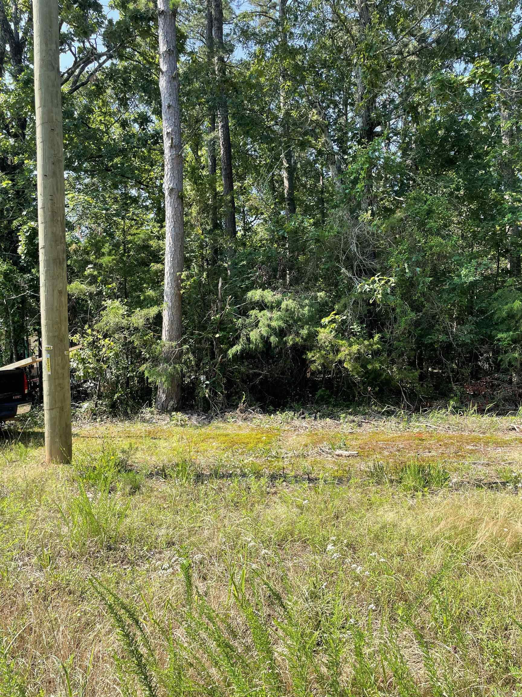 Lot 4 Pleasant Ridge Road Greers Ferry, AR 72067