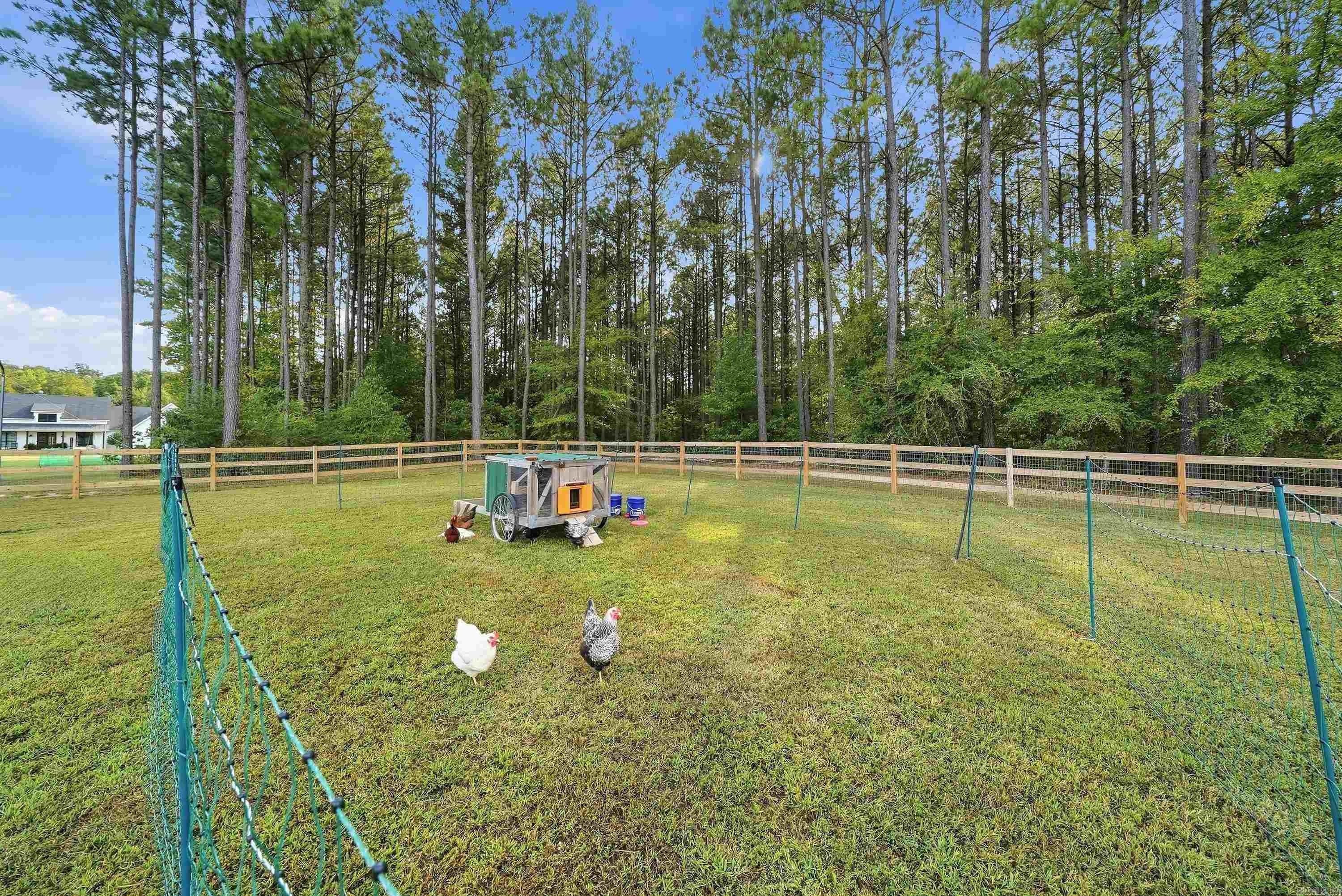 104 Paiger Lane Greenbrier, AR 72058
